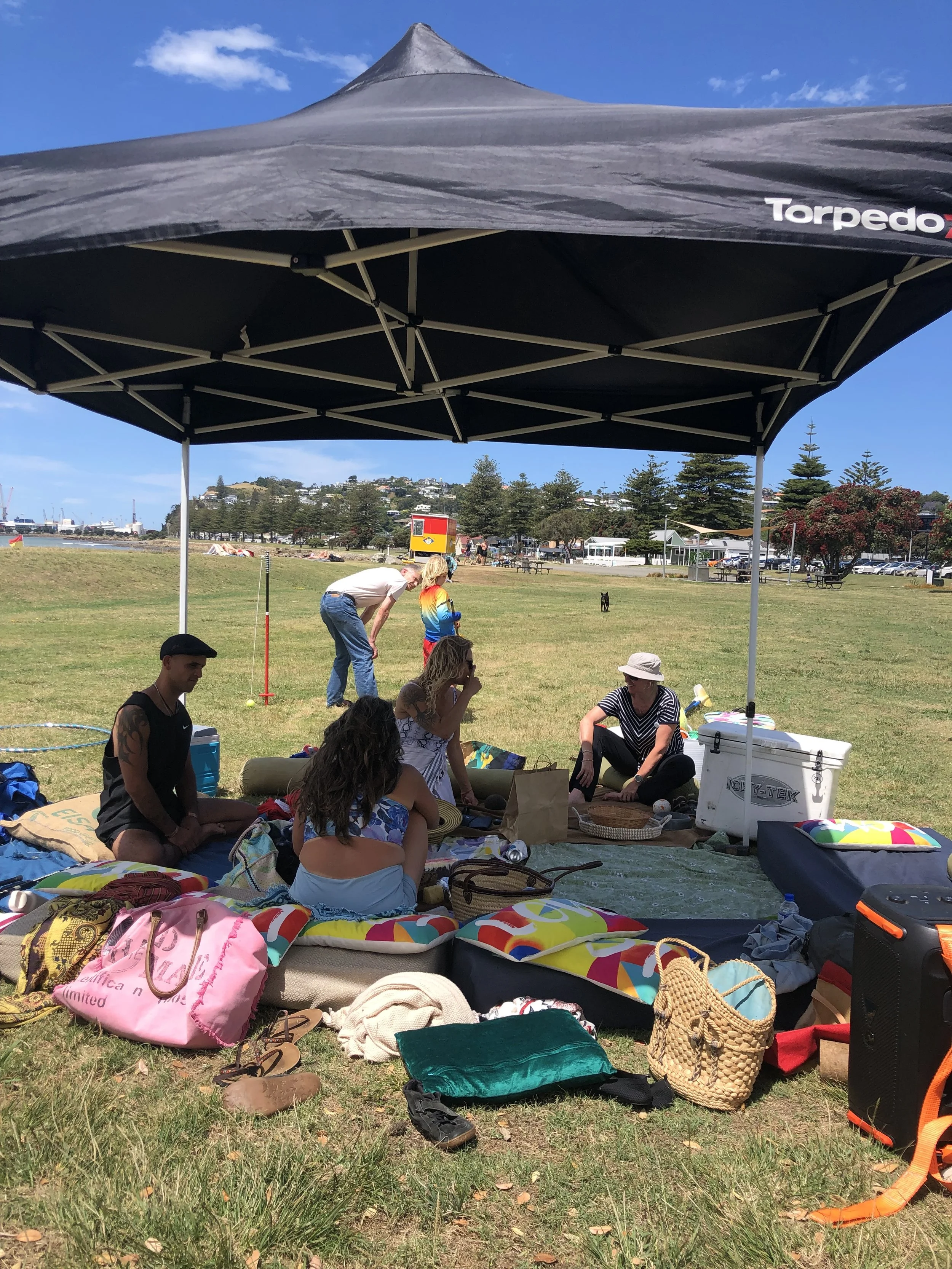 End of year picnic
