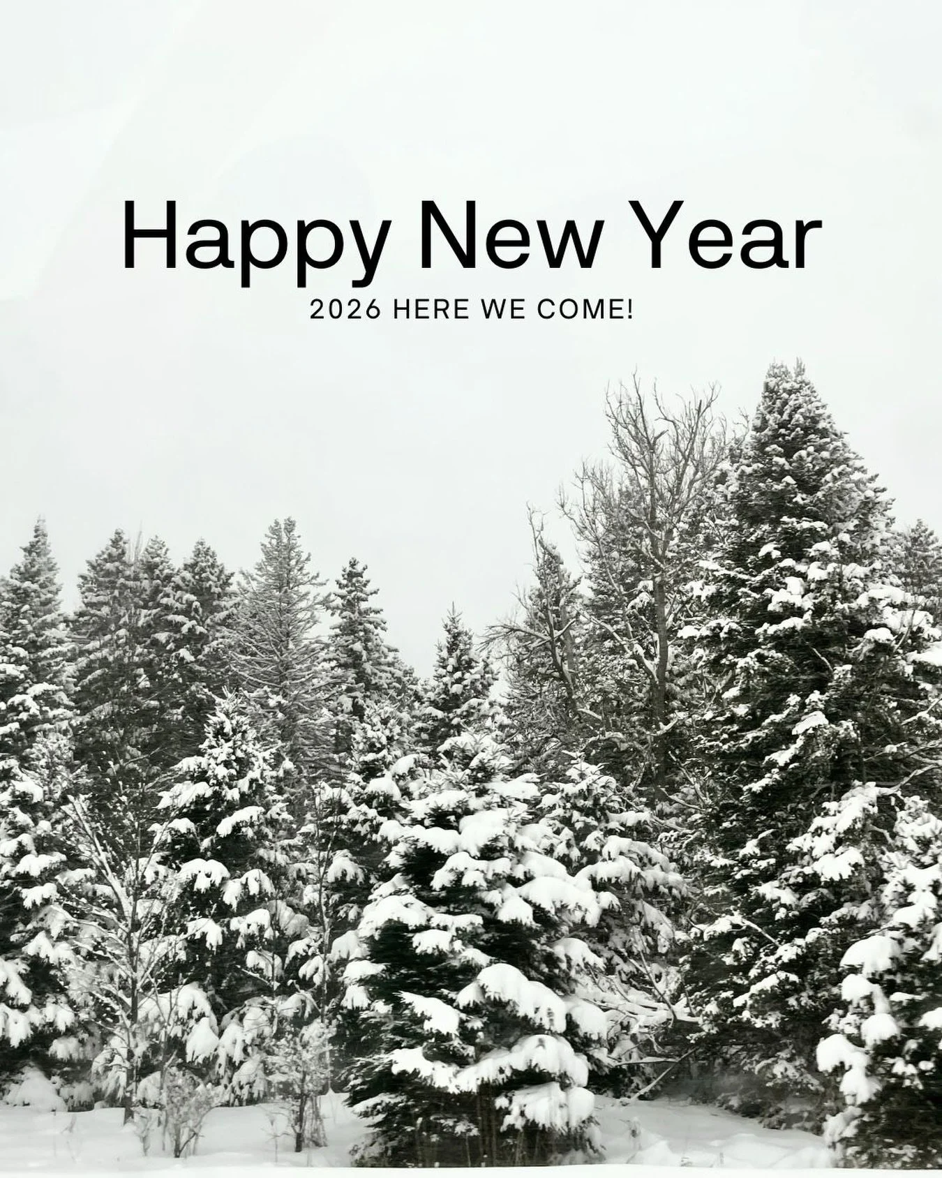 We are back at it after a break for the holidays.

No big 2025 recap.  Just moving into 2026, looking forward to new projects, challenging ourselves as a firm and sharing more of our process and the behind-the-scenes.  We have some exciting stuff to 