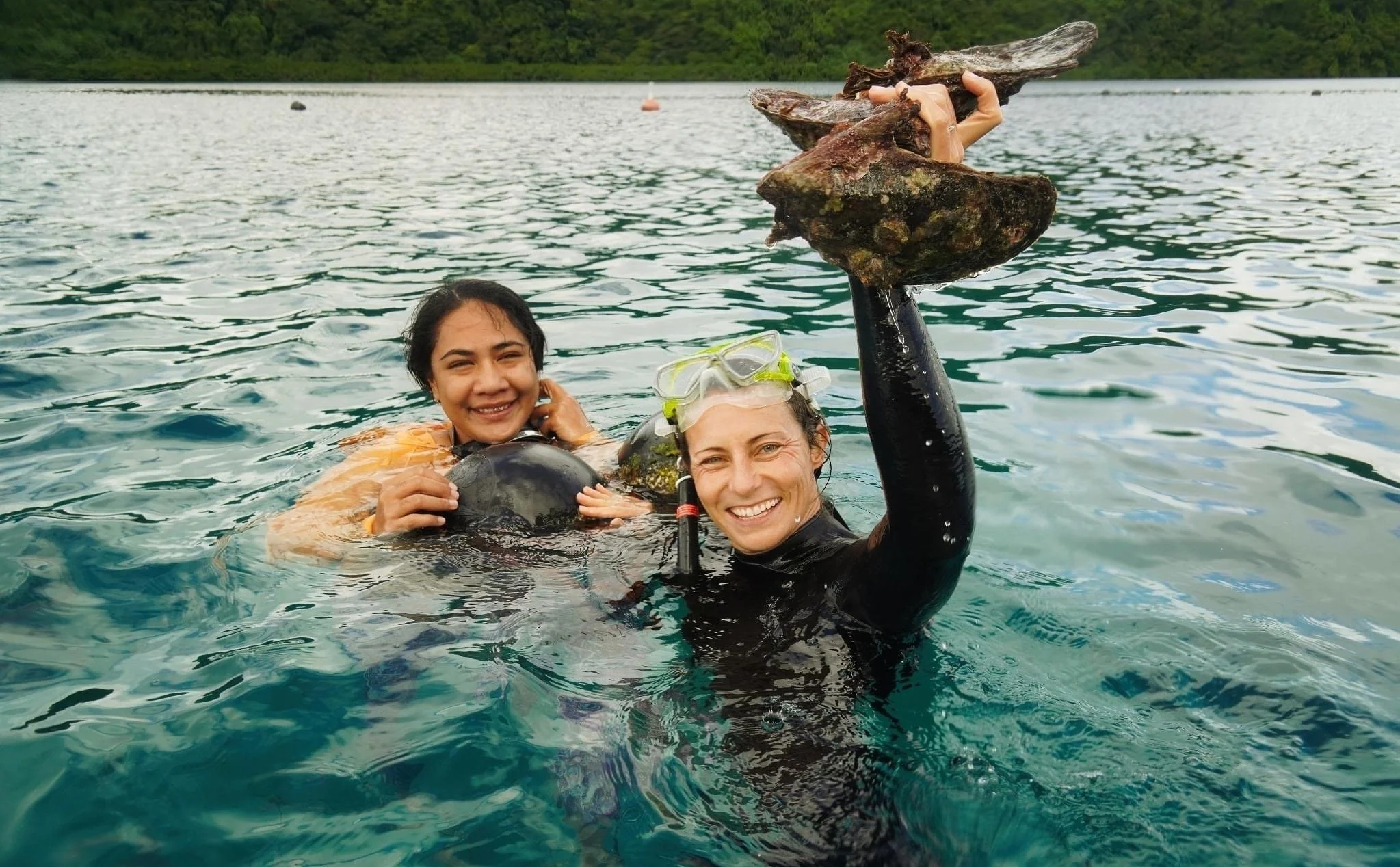 ACIAR Project Showcase