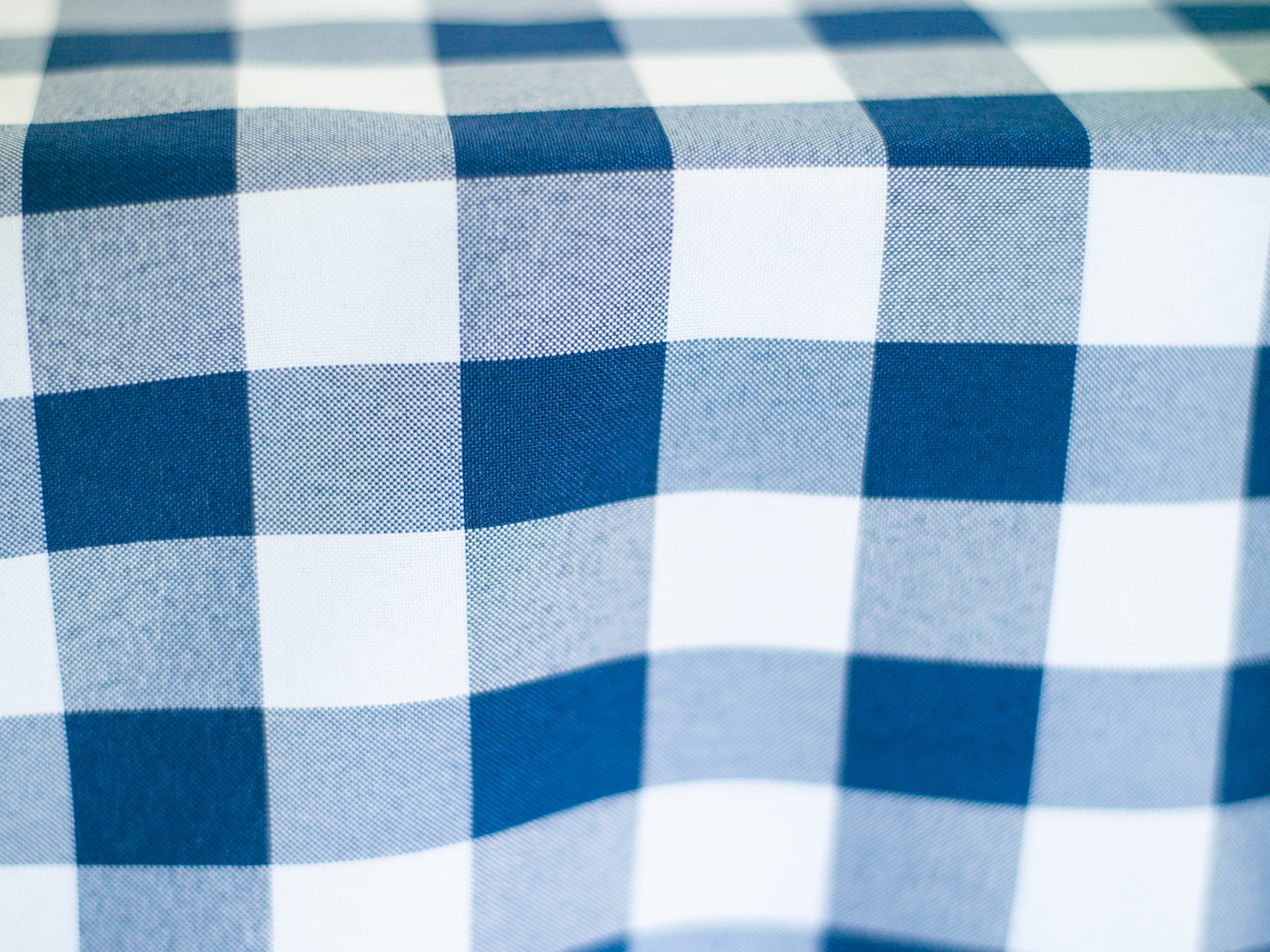 Buffalo Check Navy $30