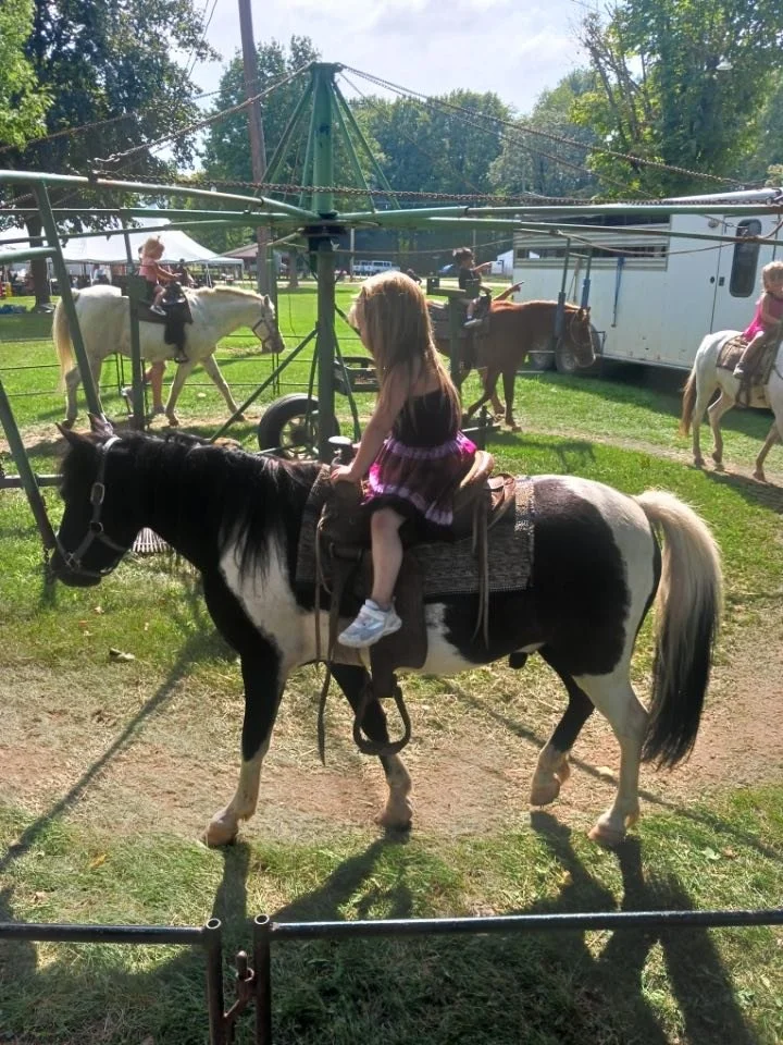 Pony Rides — Shepherd Maple Syrup Festival