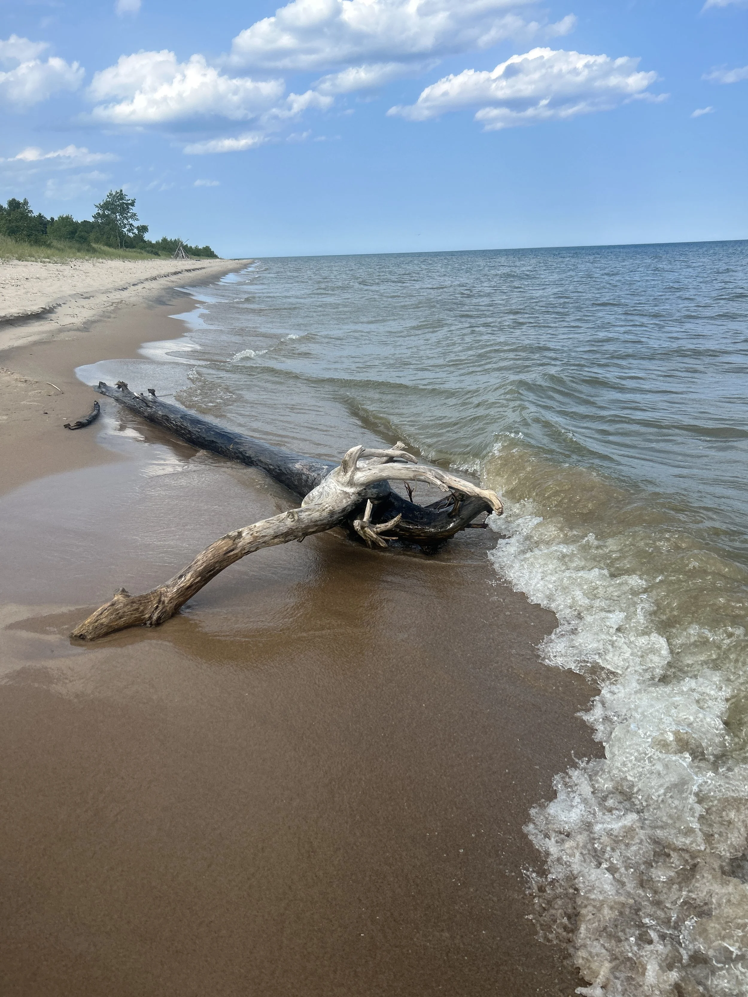 Ice Age Trail: Manitowac through Point Beach (Wisconsin) — Adventures ...