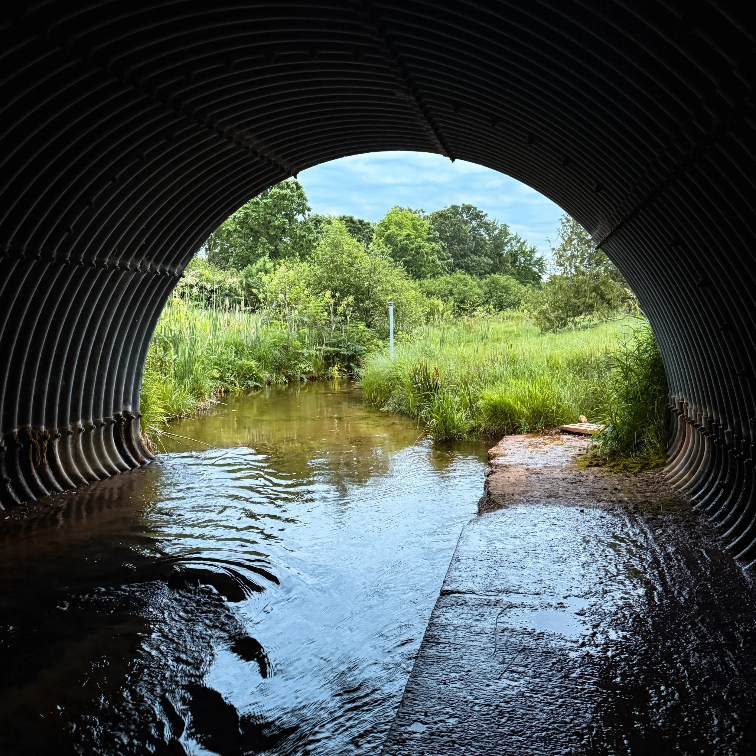 Ice Age Trail Report: Greenwood through Chaffe Creek, Valley View ...