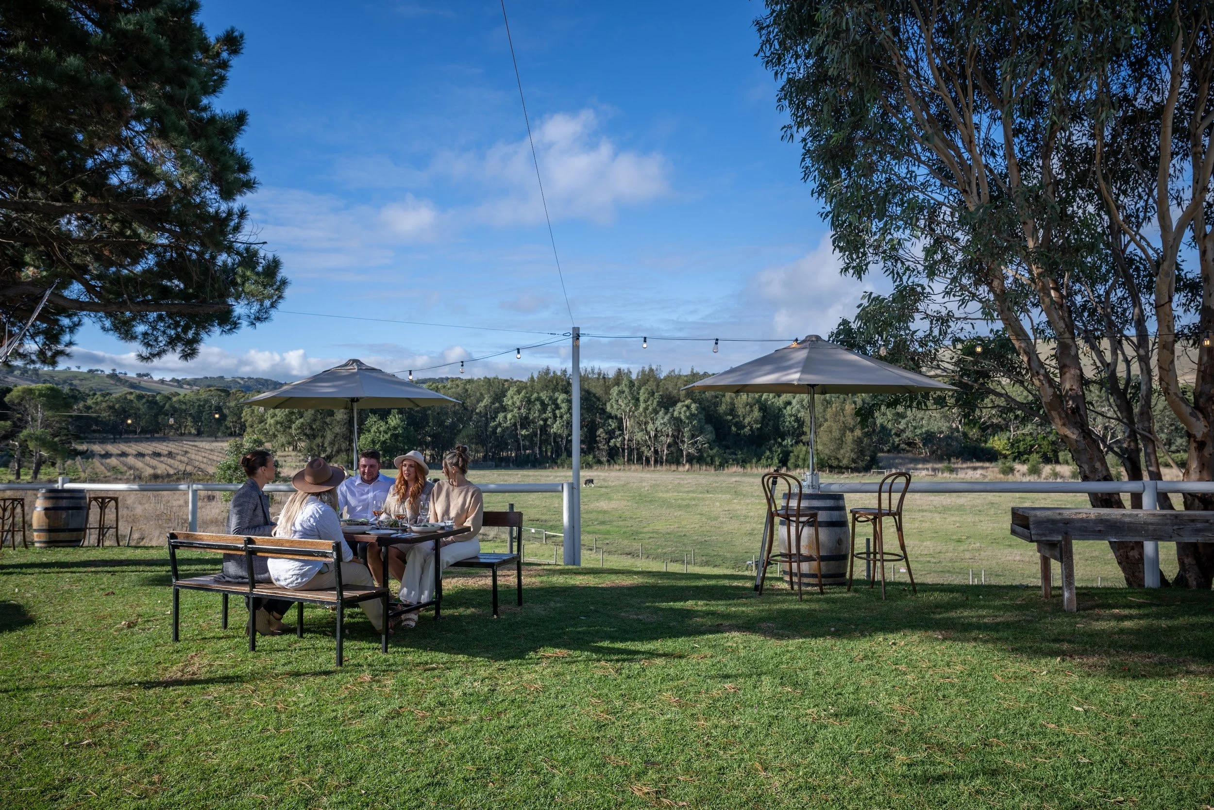 Guests enjoying a long lunch on the lawn at Lost Phoenix Farm under blue skies