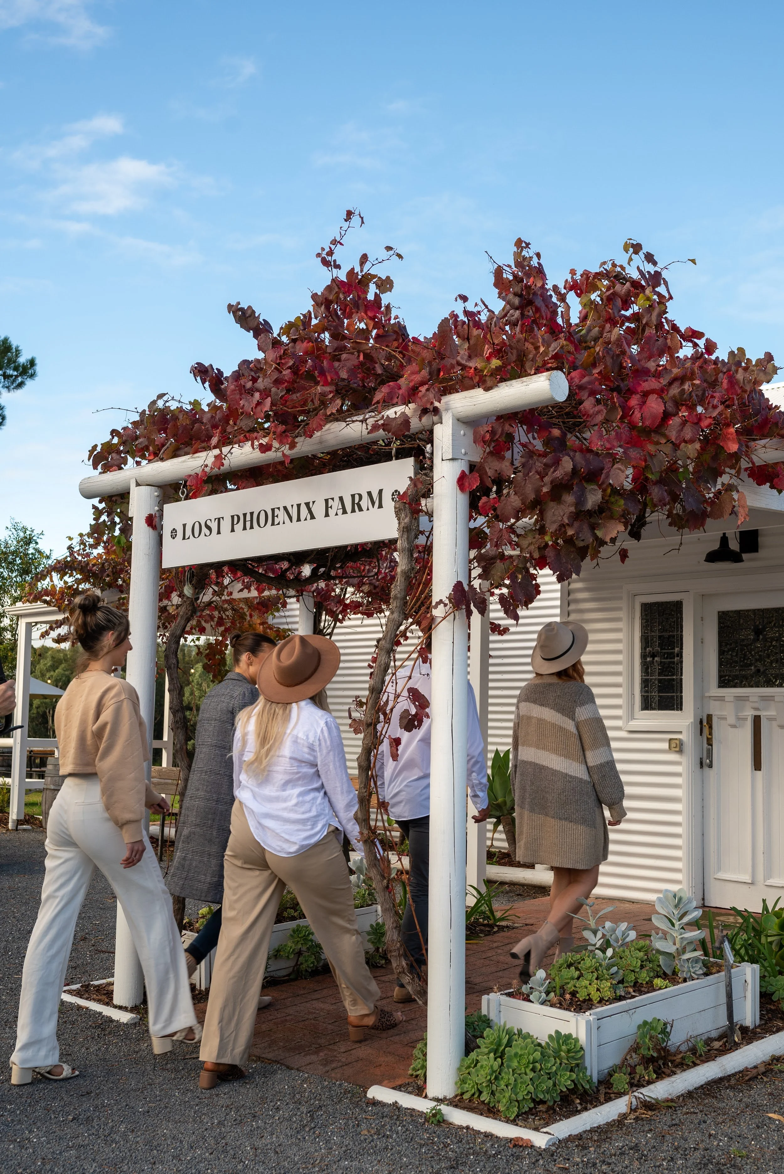 Guests arriving through the vine-covered Lost Phoenix Farm entrance