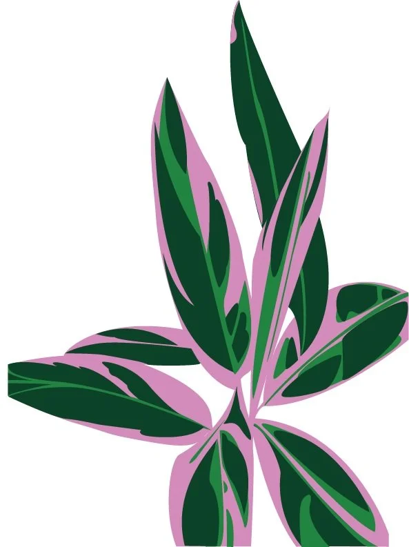 illustration leaves .jpg