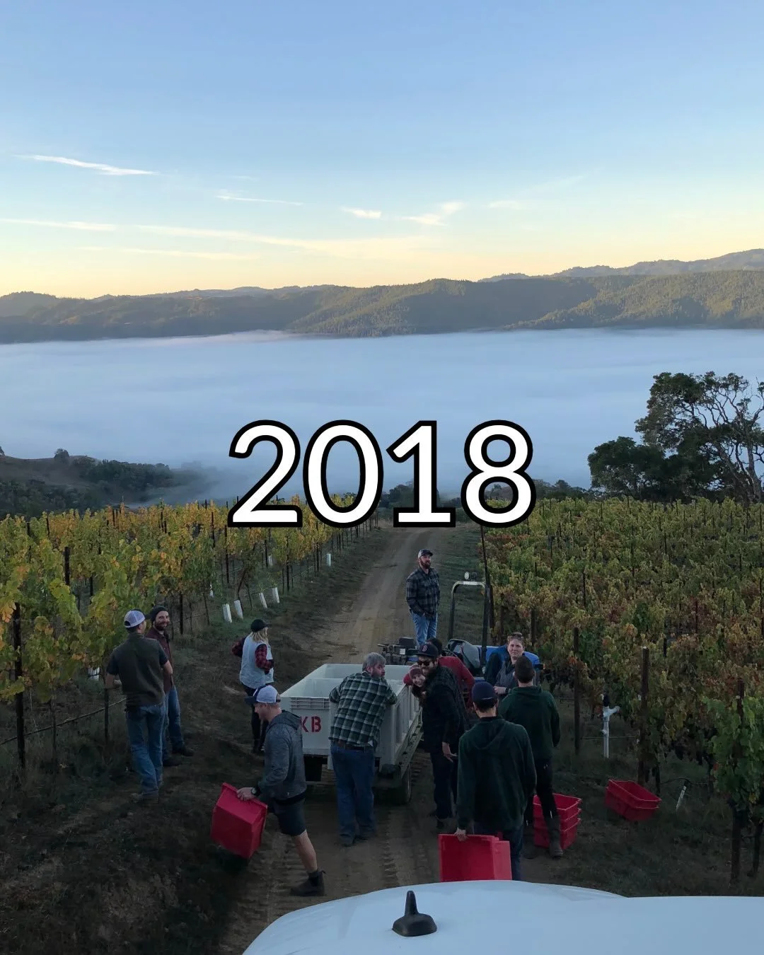 We&rsquo;re very excited for our first Fall Release tomorrow! From first making wines together in 2018 @kostabrownewinery to @marinelayerwines til now, it&rsquo;s been a hell of a journey.
Grab your Single Vineyard Series tomorrow and support your lo