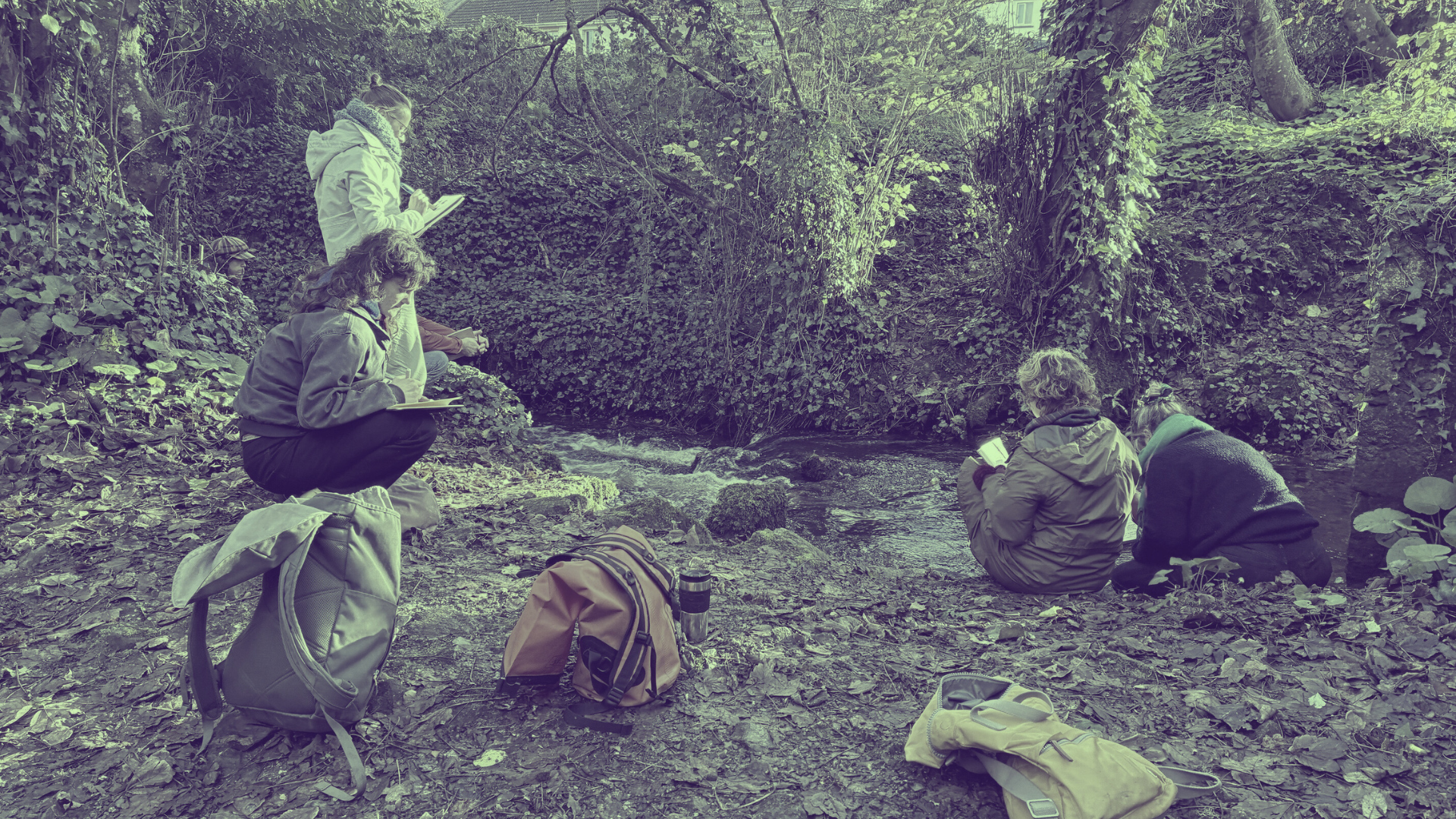 Longer course: What if we learnt to slow down together? SWG x The Convivial