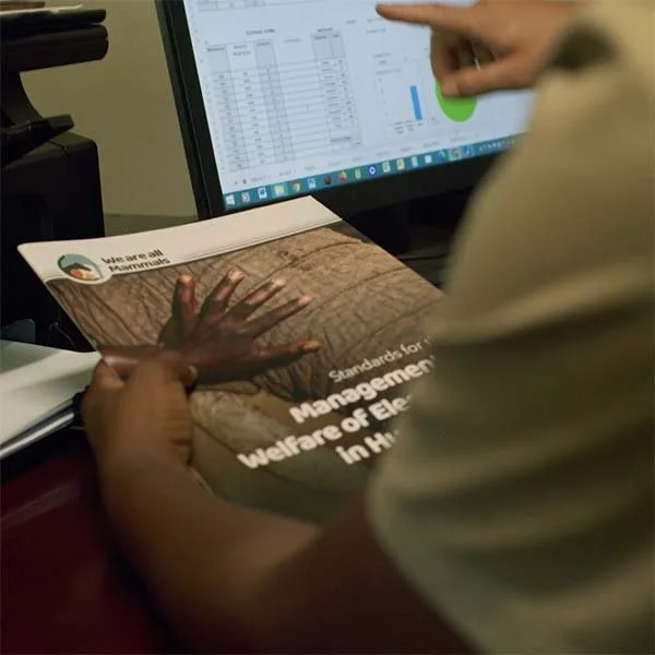 Research — elephantCREW