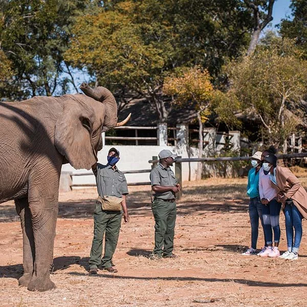 Education — elephantCREW