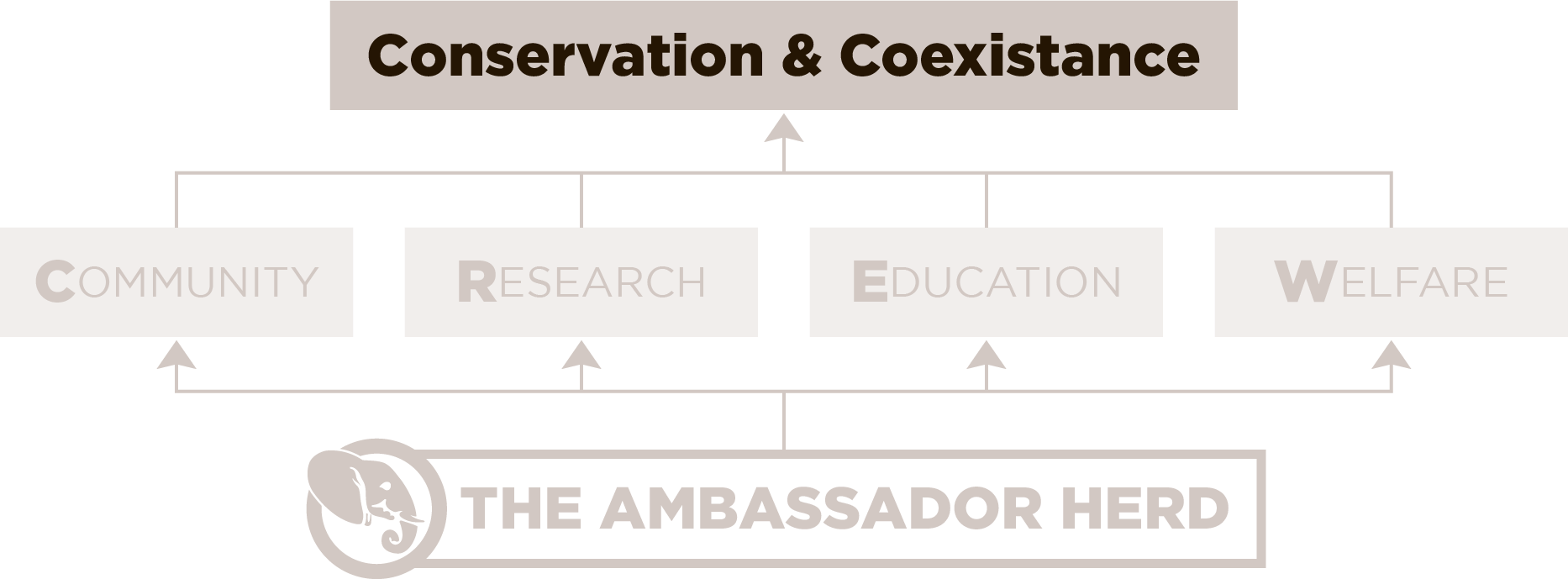 Our Story — elephantCREW