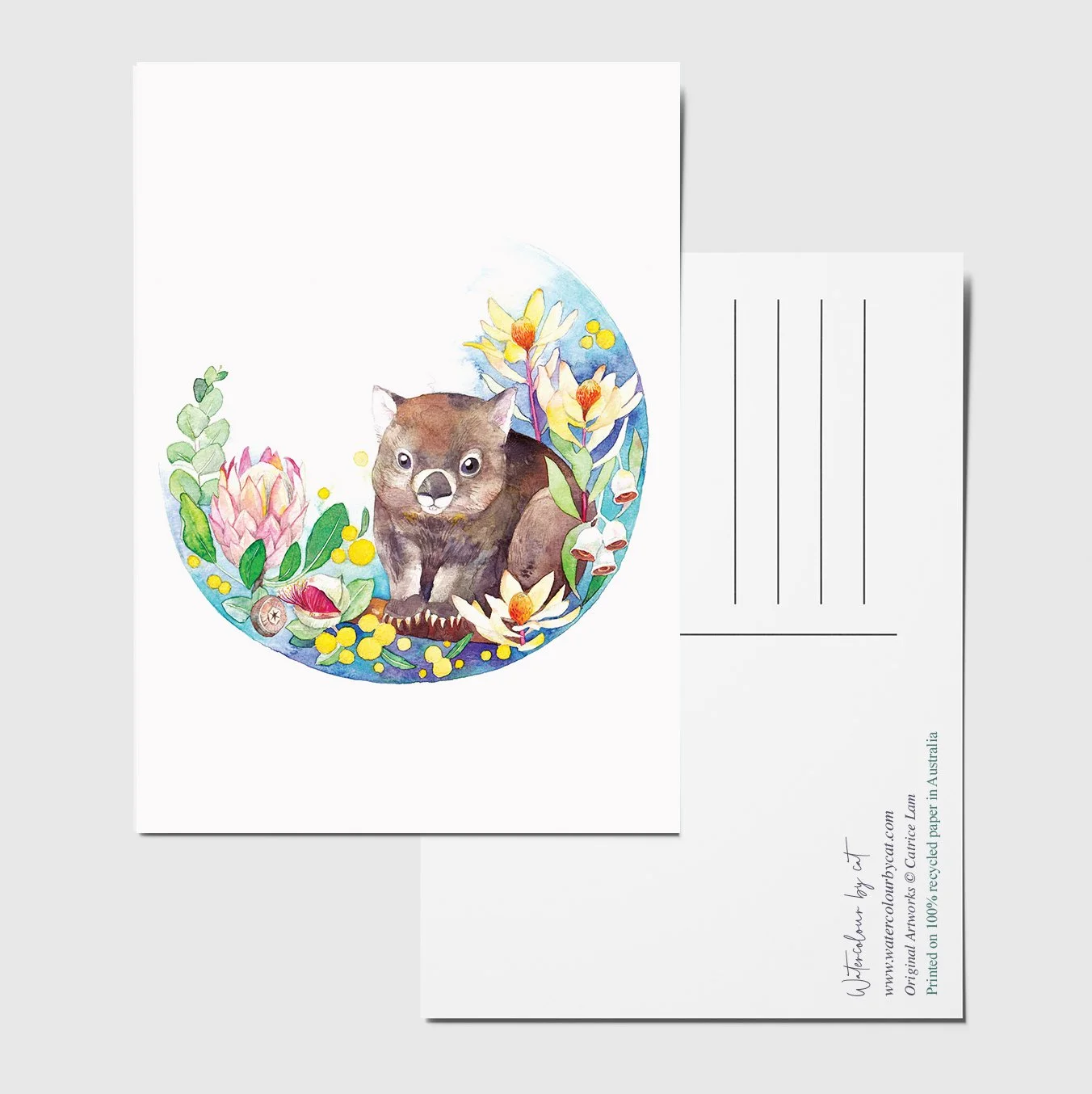 postcard wombat.jpg