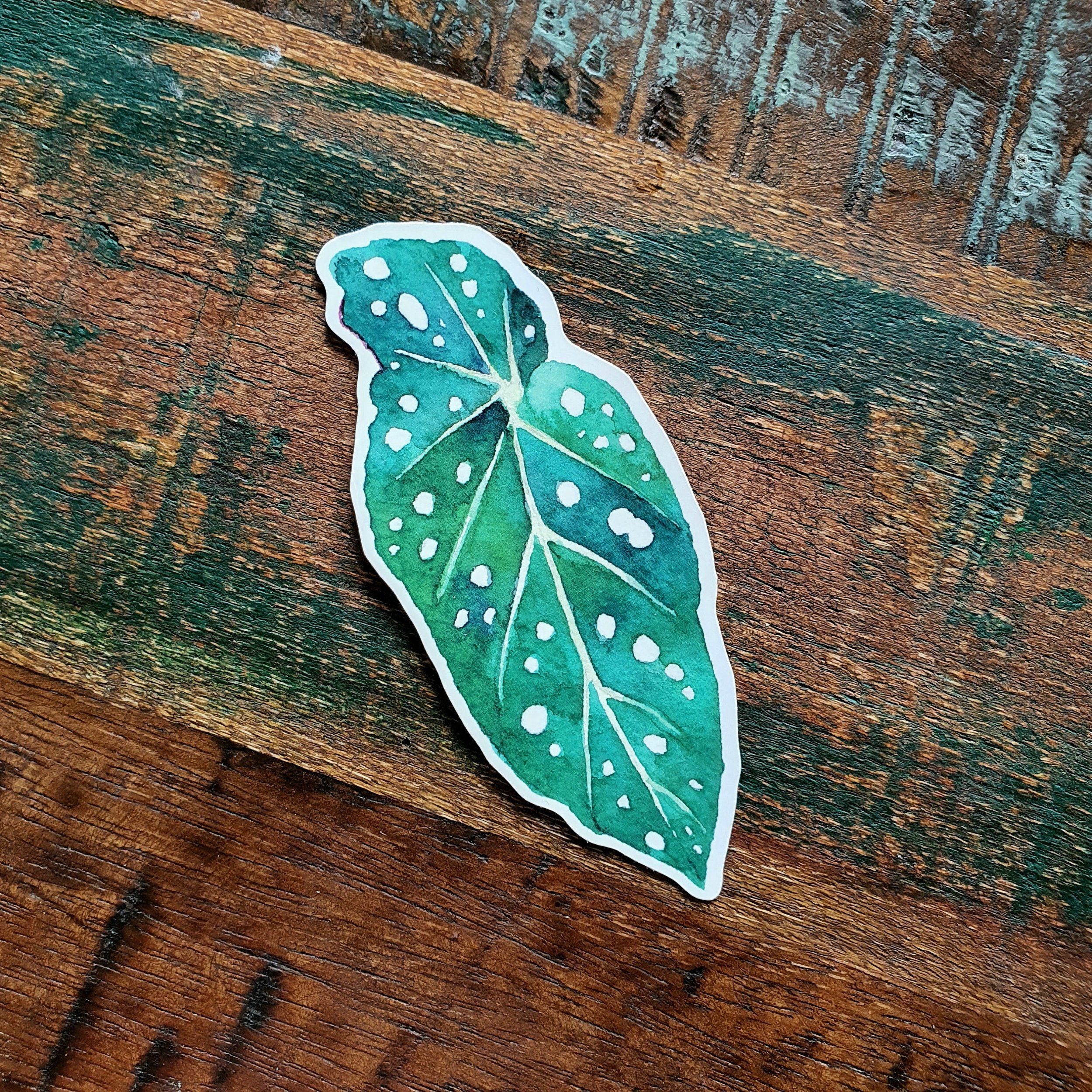https://i.etsystatic.com/23400321/r/il/46228a/3253550471/il_fullxfull.3253550471_cund.jpg