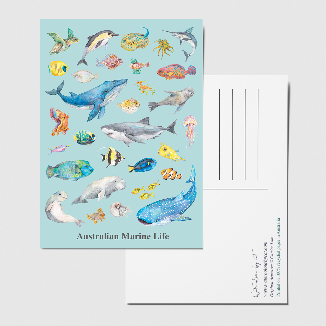 postcard ocean.png