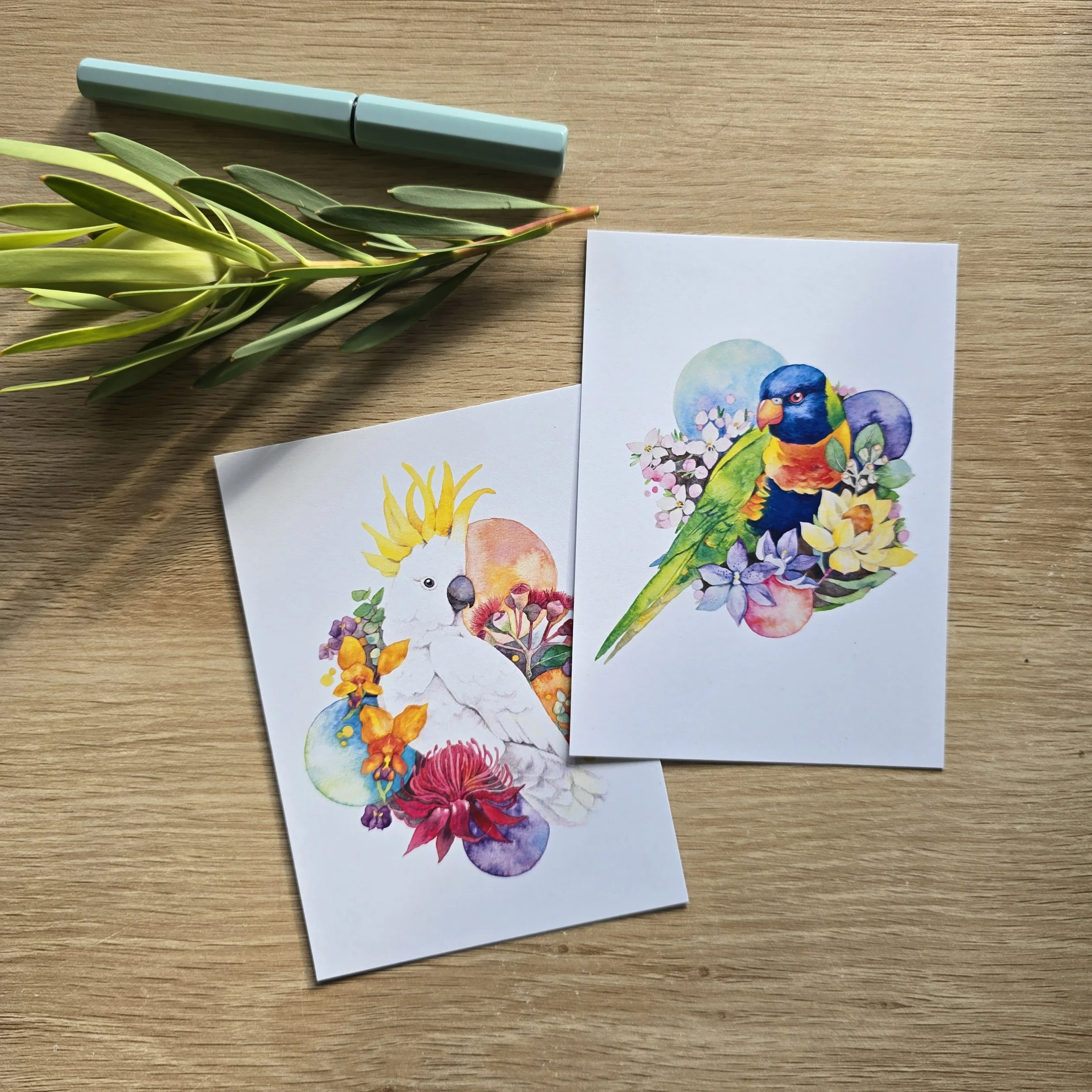 Australian Birds Postcards: Magpie, Pink Galah, Kookaburra, Lorikeet, Rosella, Cockatoo, Masked Owl with Aussie Orchid