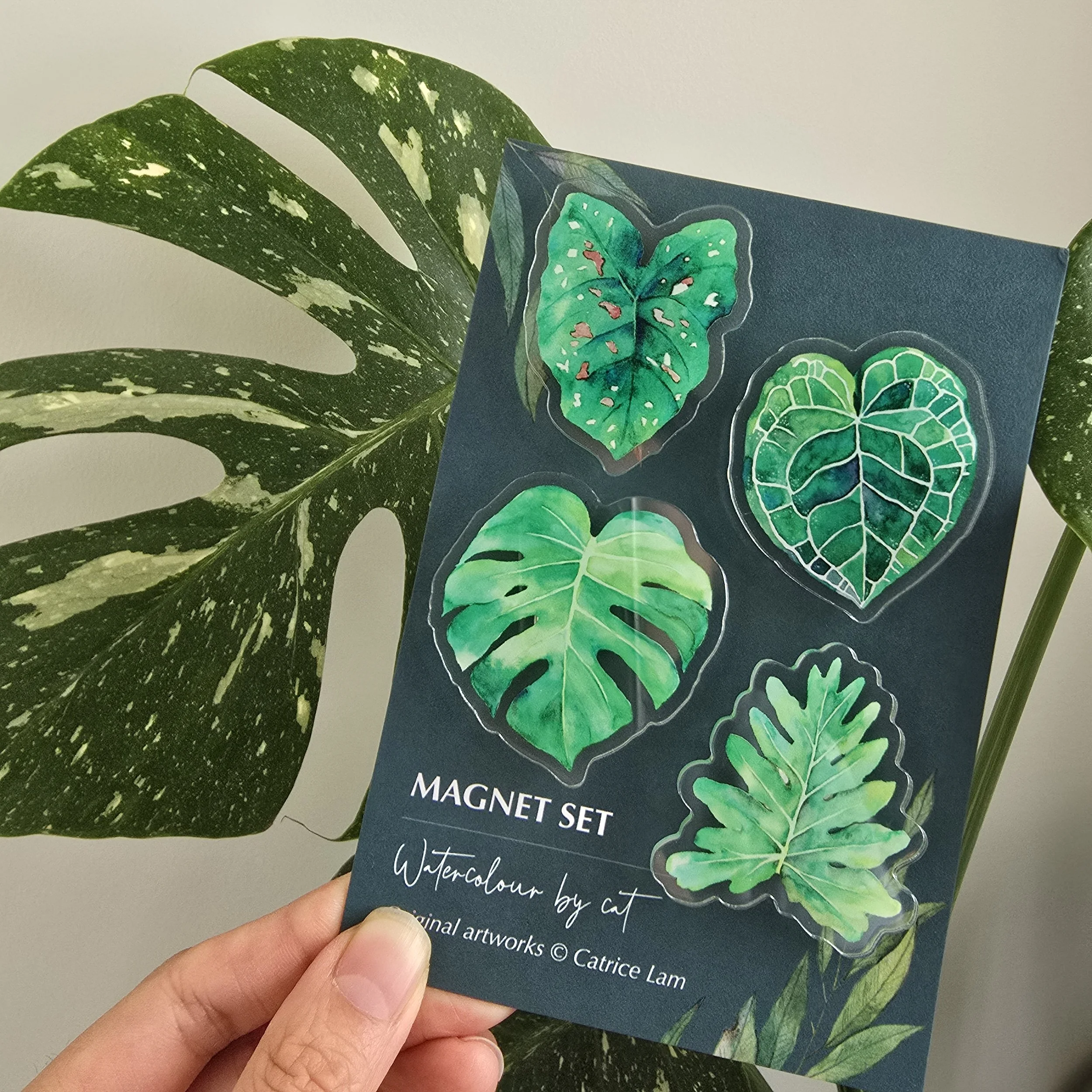 Magnet set of 4 Indoor Plant Leaf