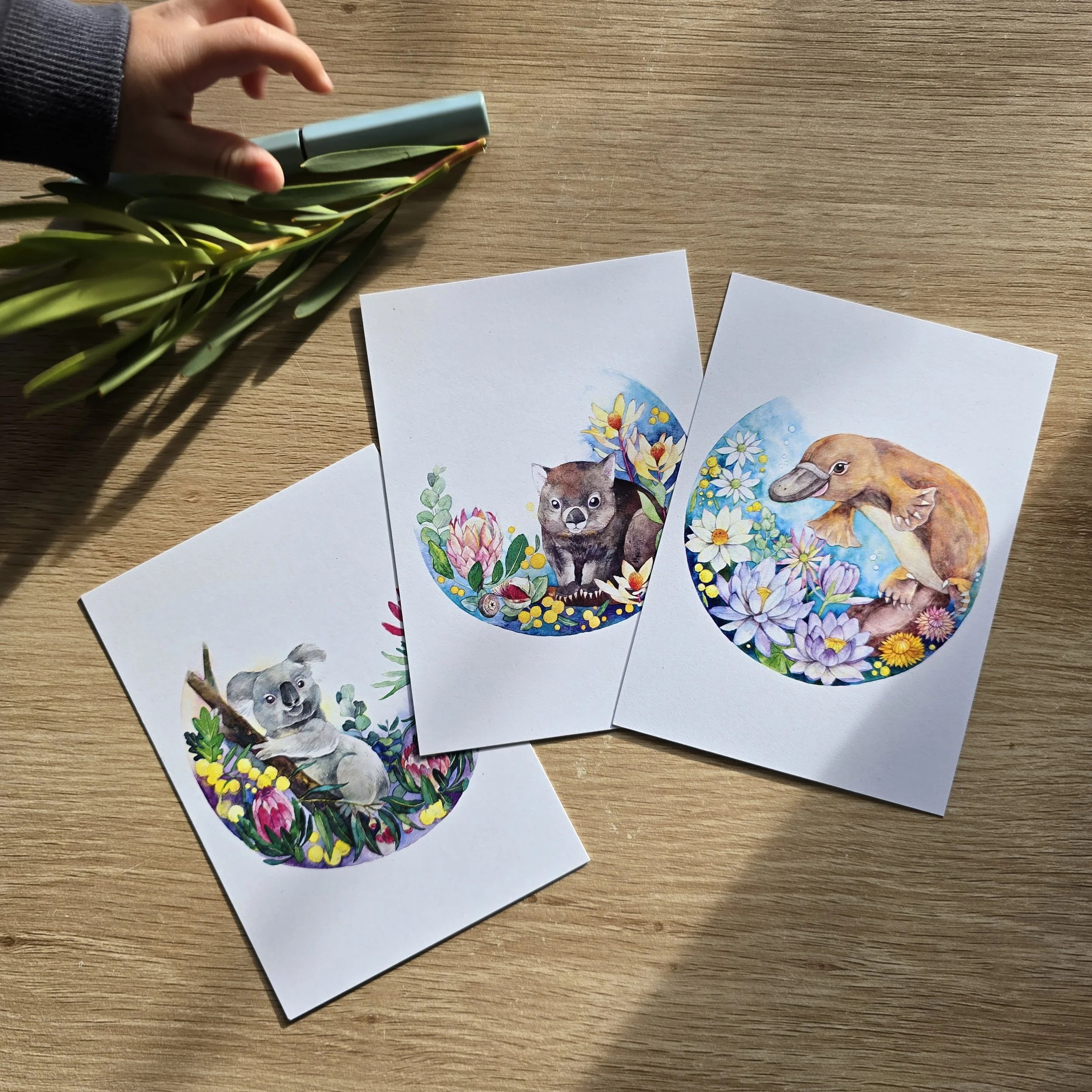 Australian animals postcards: Tasmanian Devil, Koala, Wombat, Wallaby, Echidna and Aussie native plant