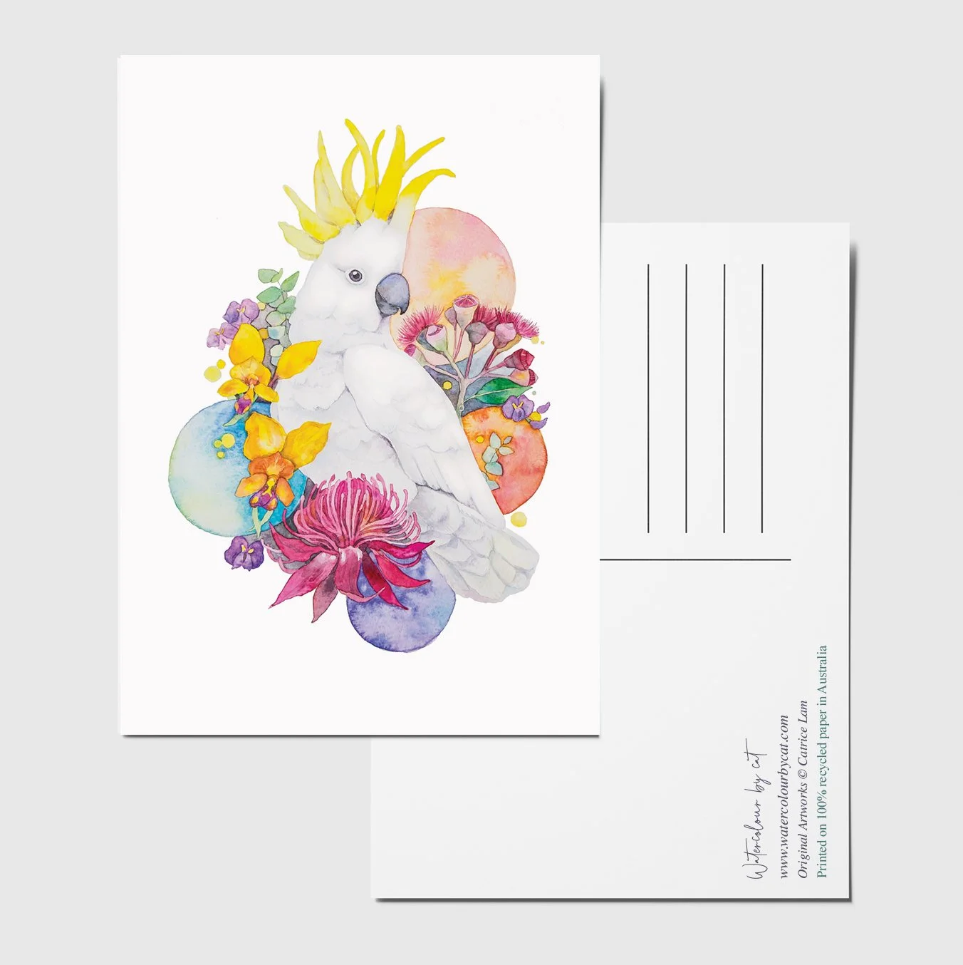 postcard cockatoo.jpg