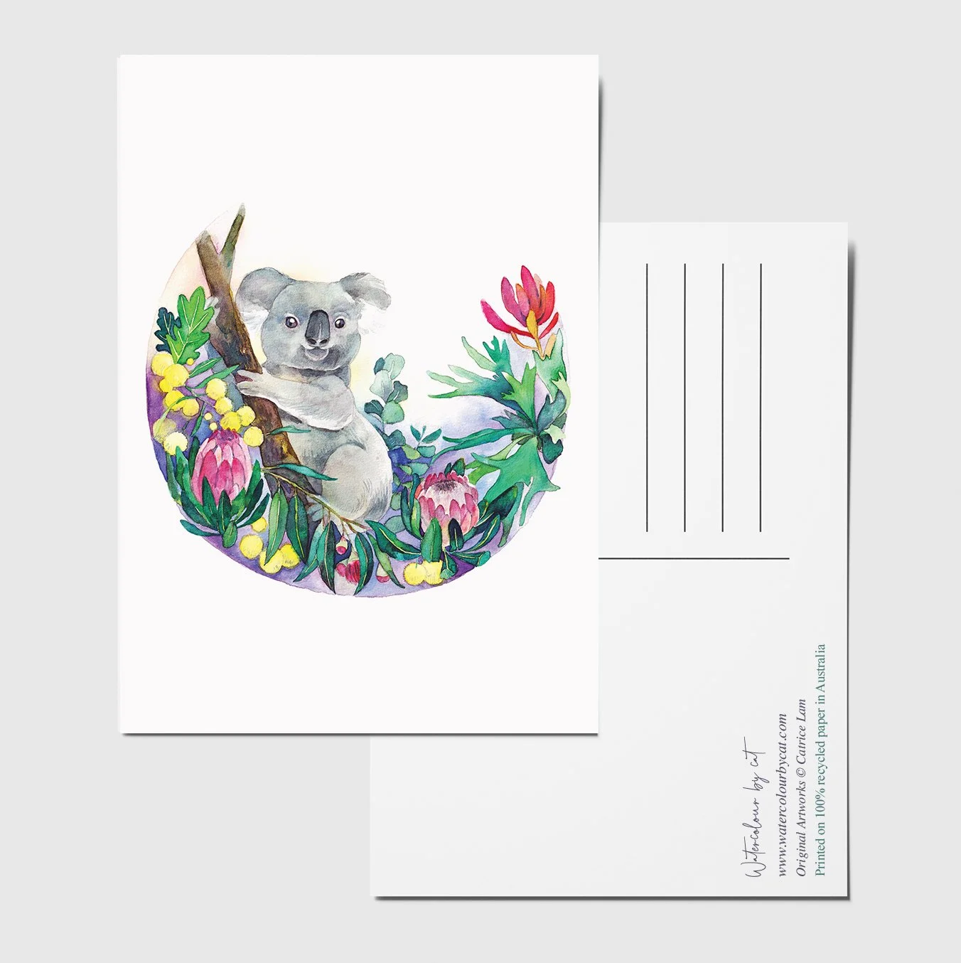 postcard koala.jpg