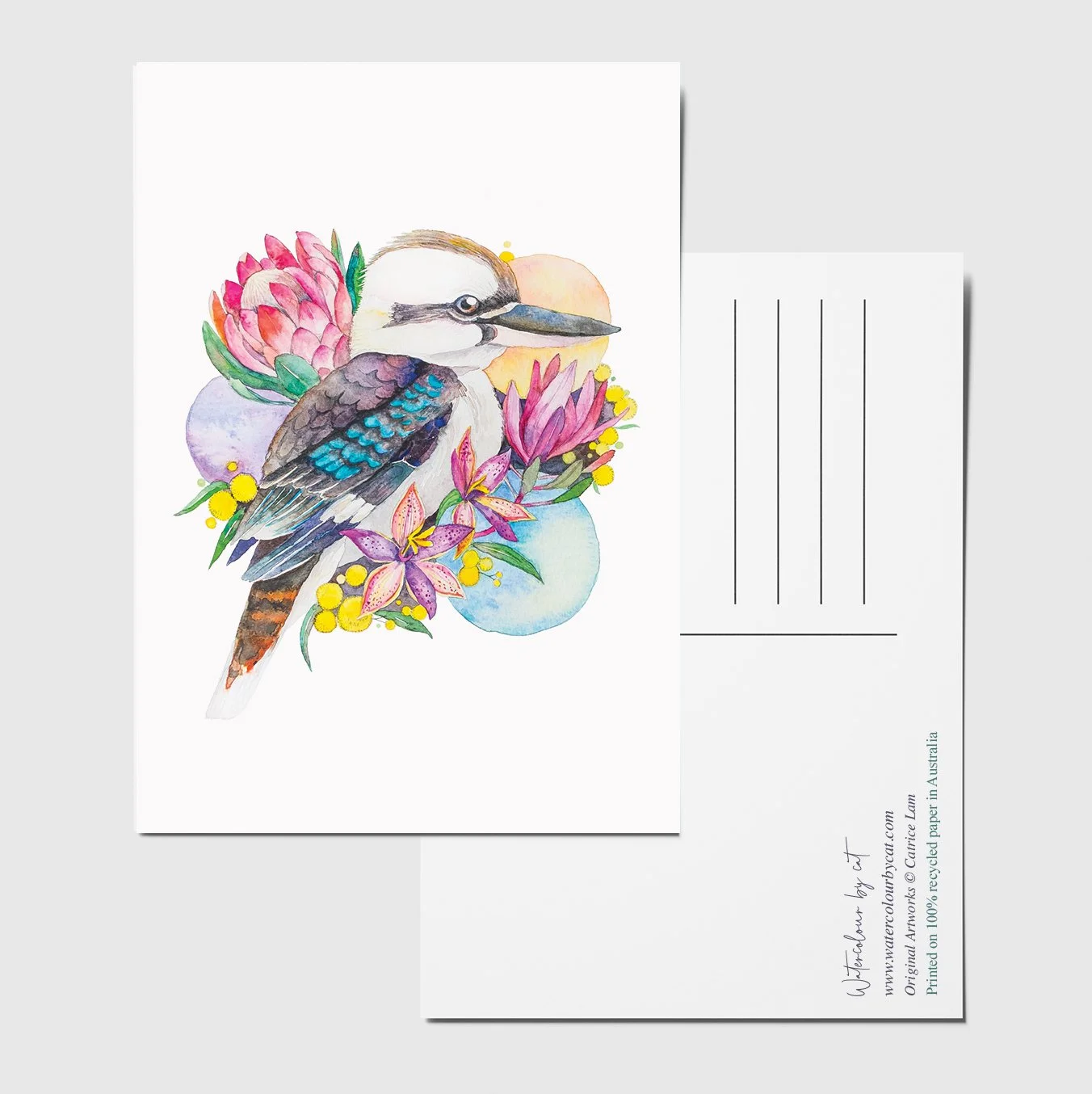 postcard kookaburra.jpg