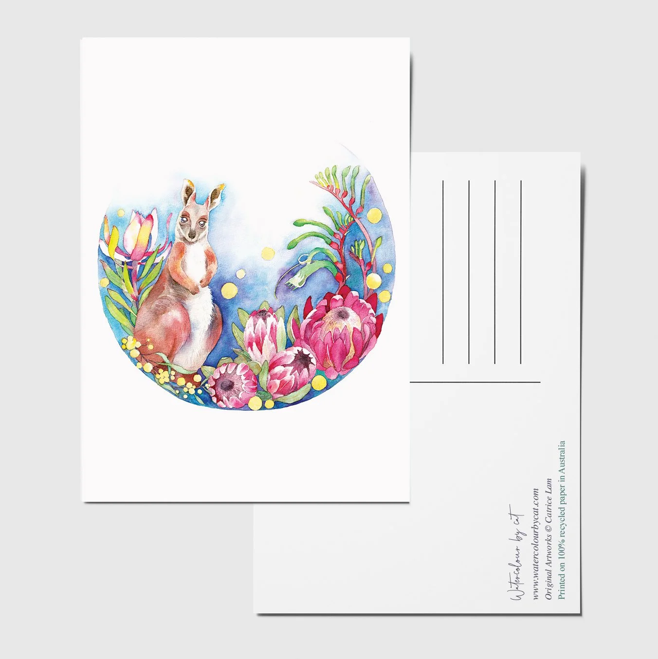 postcard wallaby.jpg