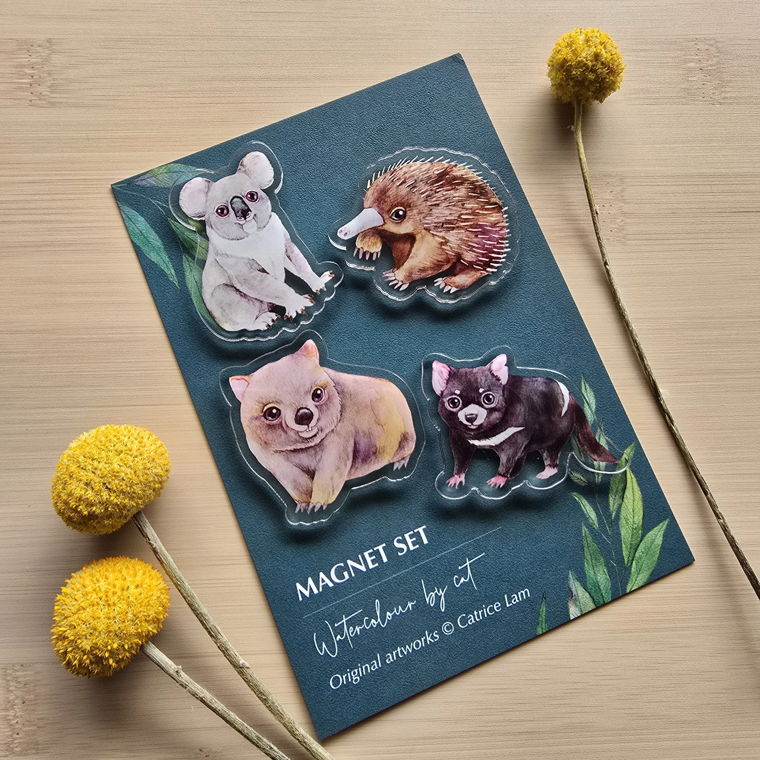 Magnet set of 4 Australian animals: Koala, Wombat, Echidna & Tasmanian Devil