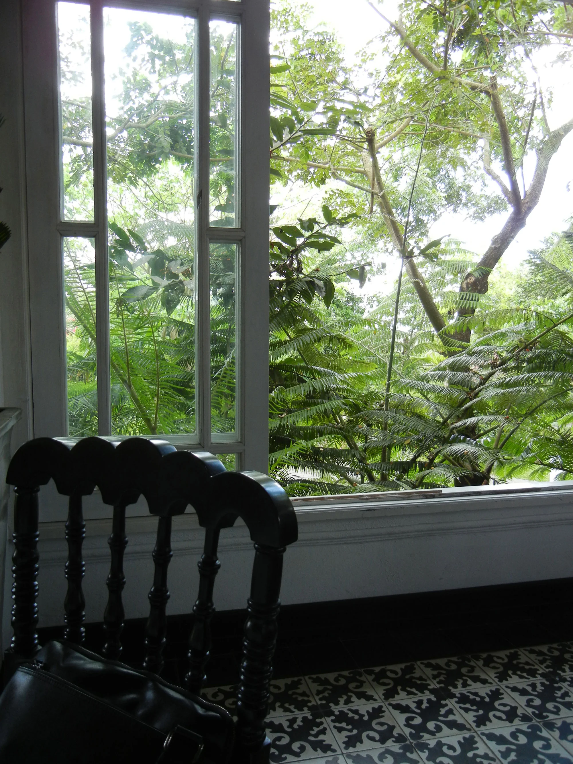 DSCN0806.JPG