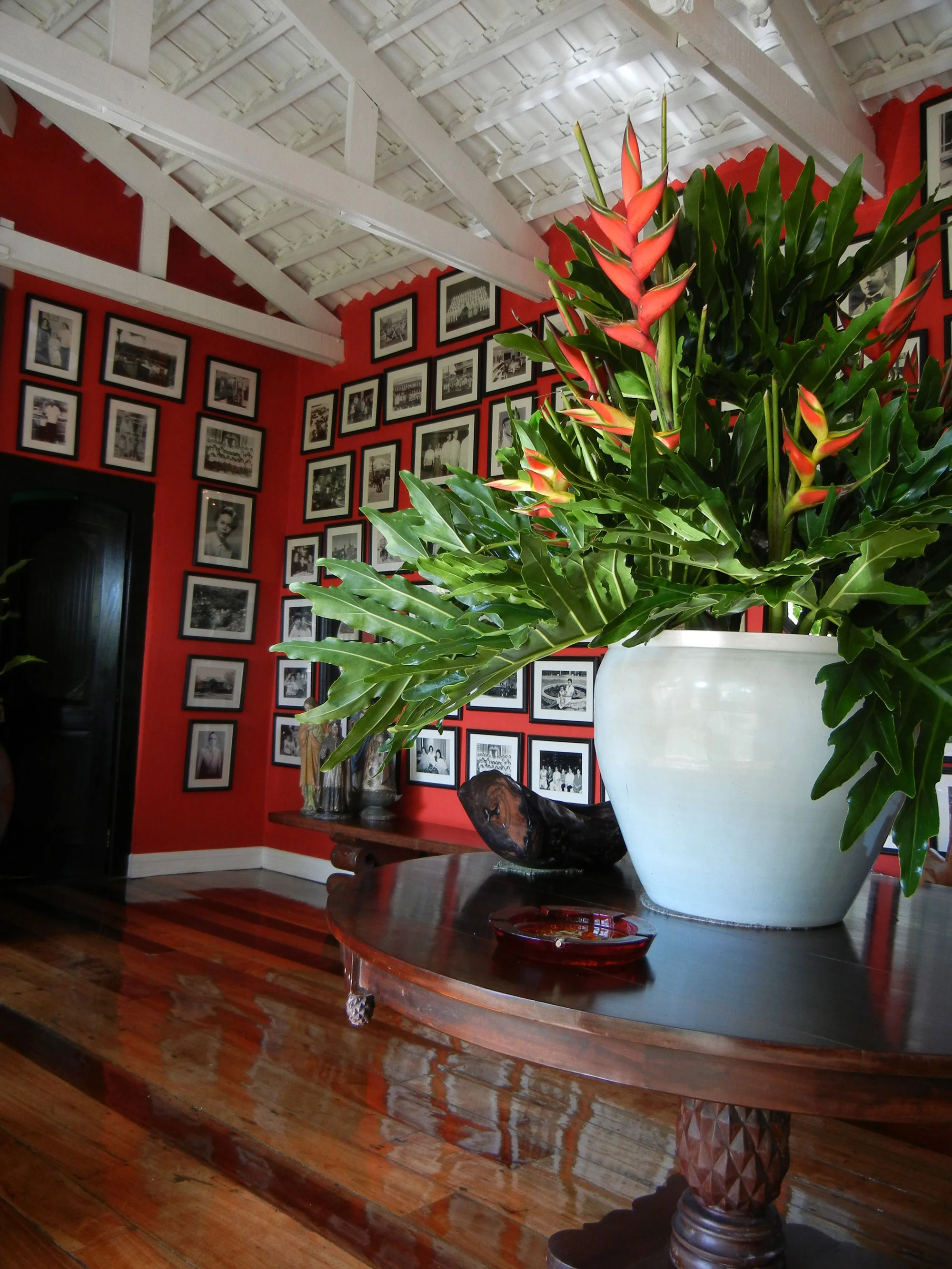 DSCN0823.JPG