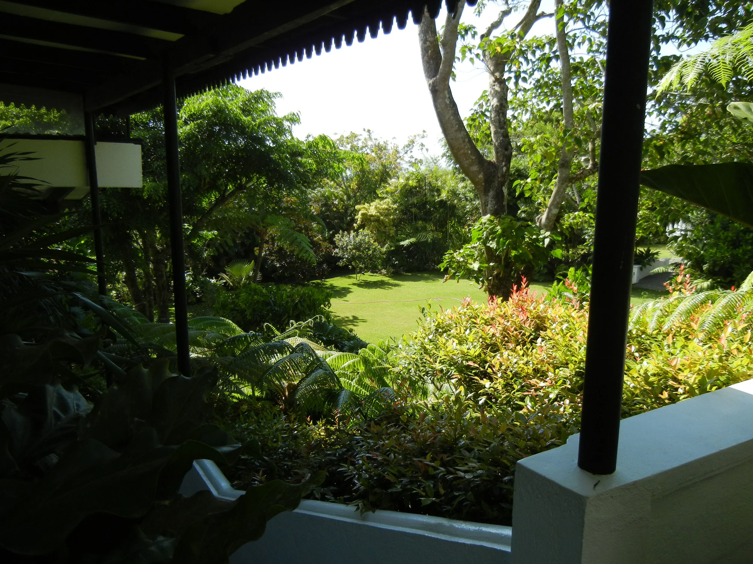 DSCN0816.JPG
