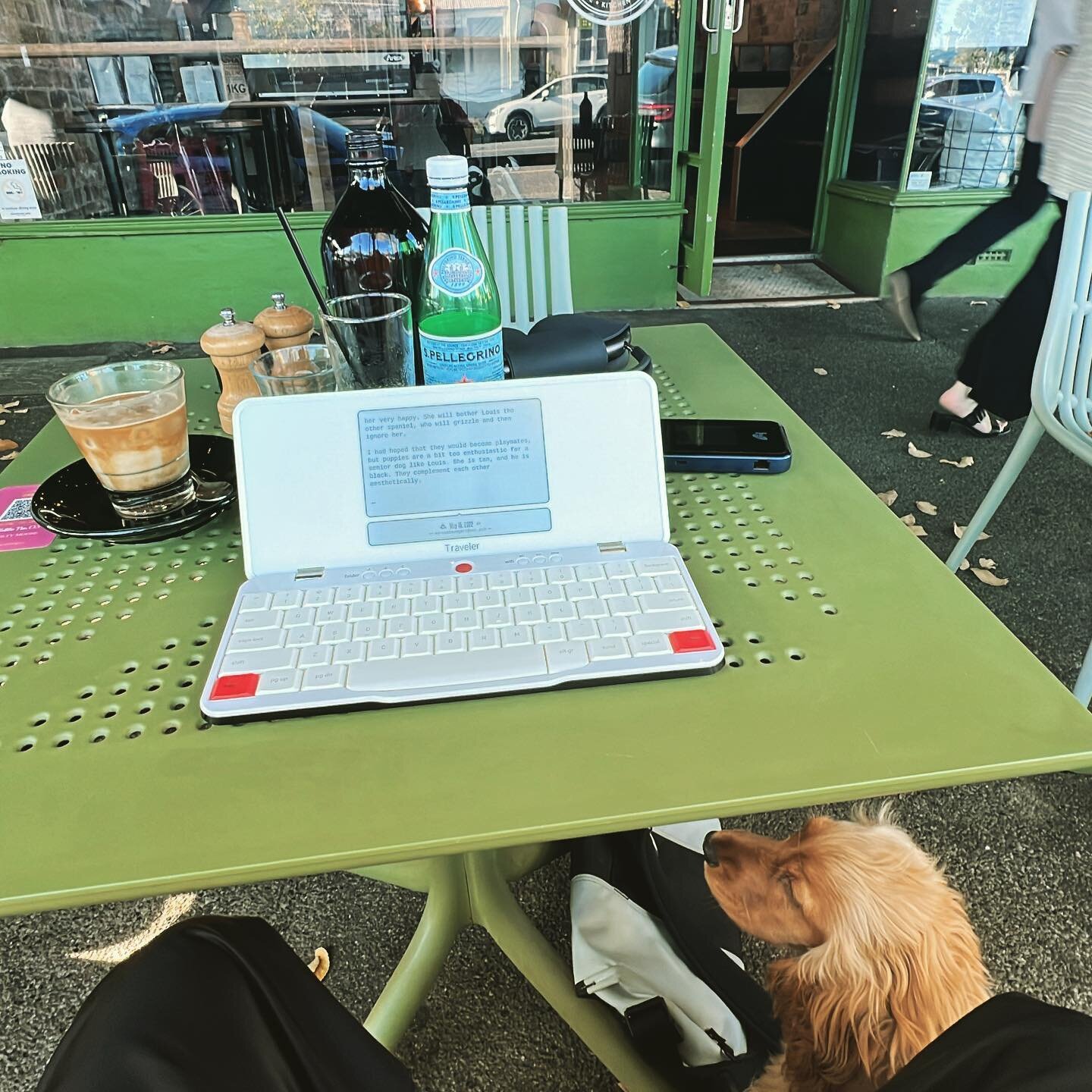 In my happy place with my furry buddy. The guilty moose cafe at Albert Park with my distraction free e-ink writing device designed by one of those clever American startups. Caffeine, dogs (in abundance) and time to write. All is well.
