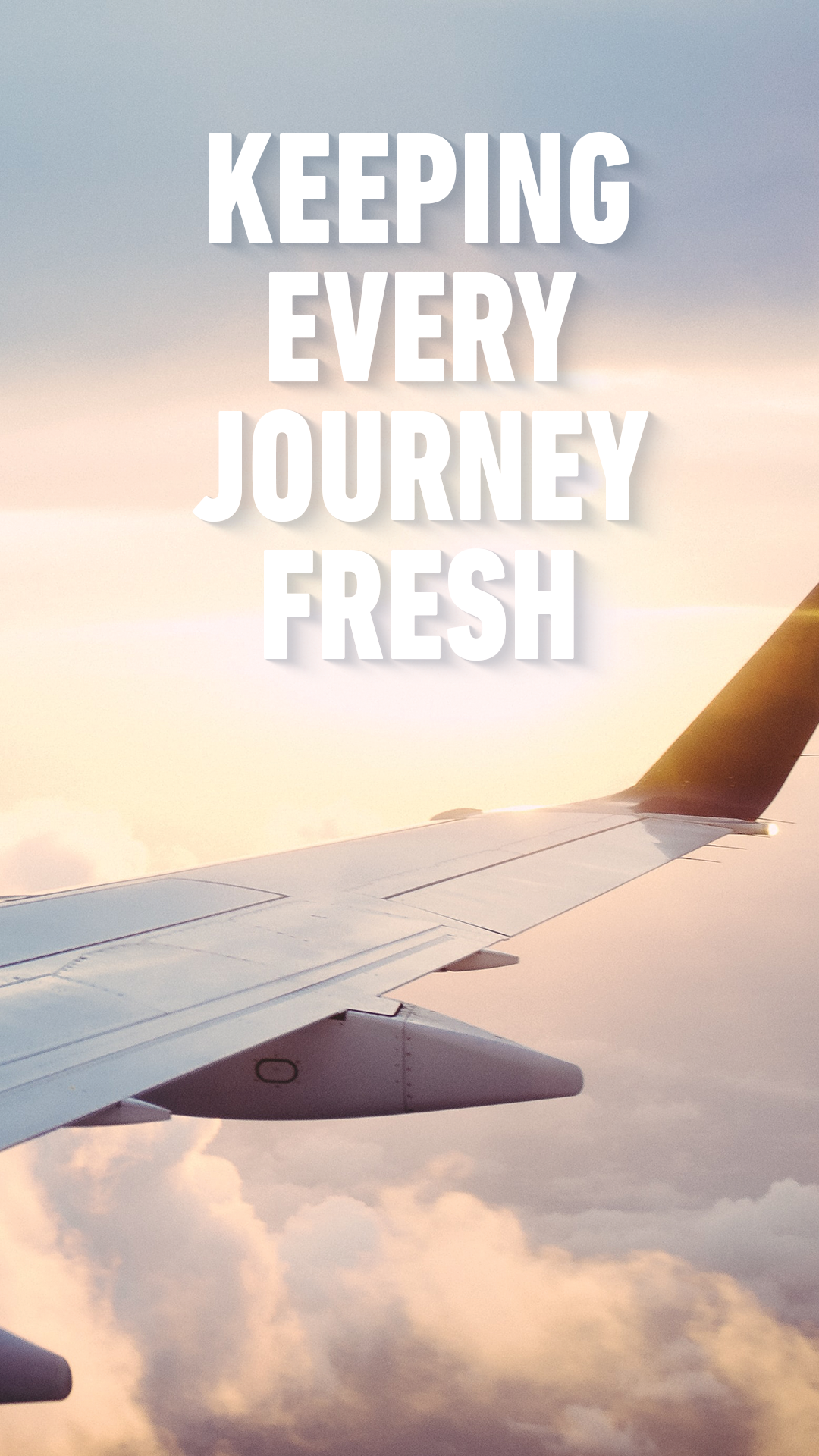 banner 2 rex mobile.png