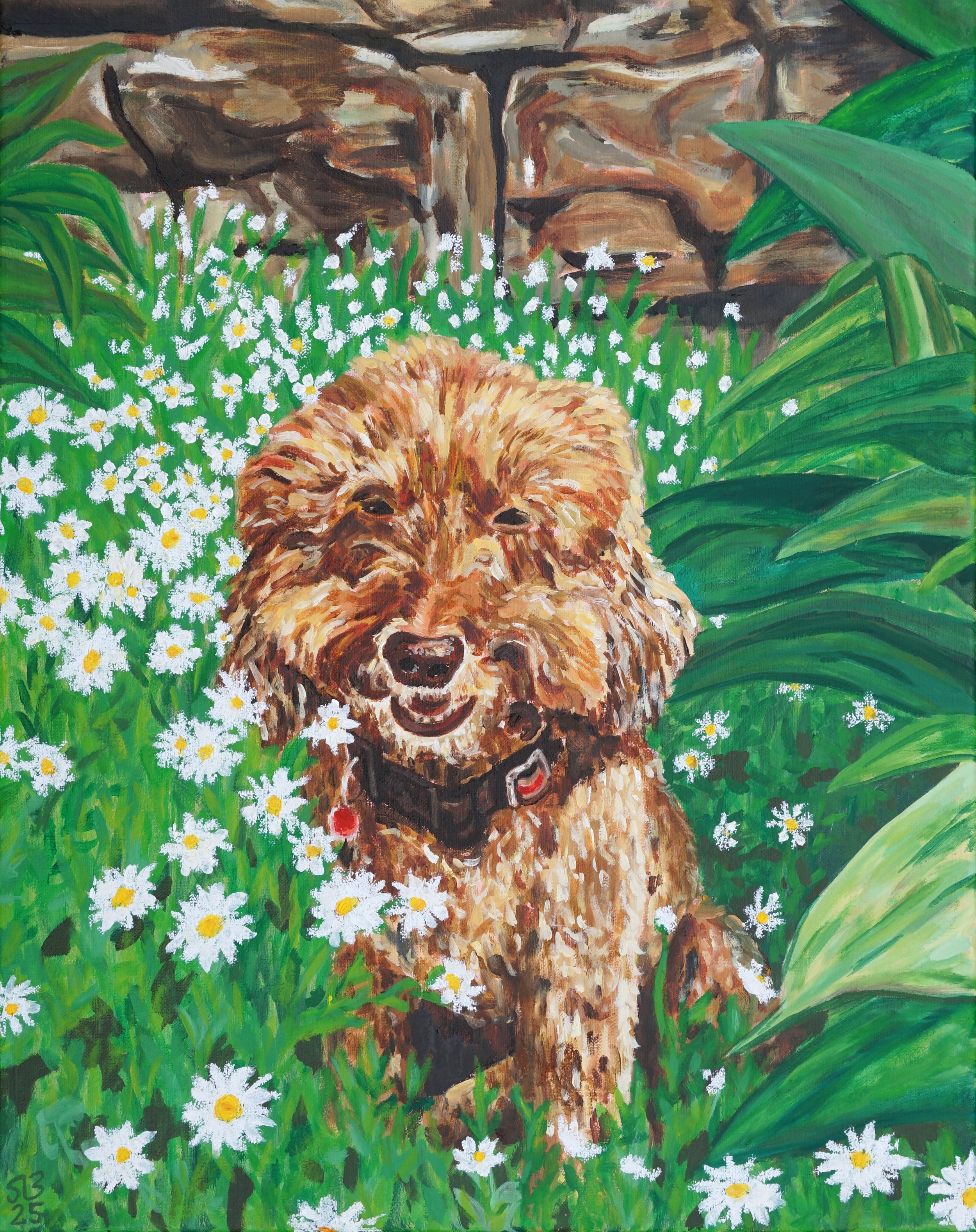 Teddy, oil and oil stick on canvas, 50 x 40cm