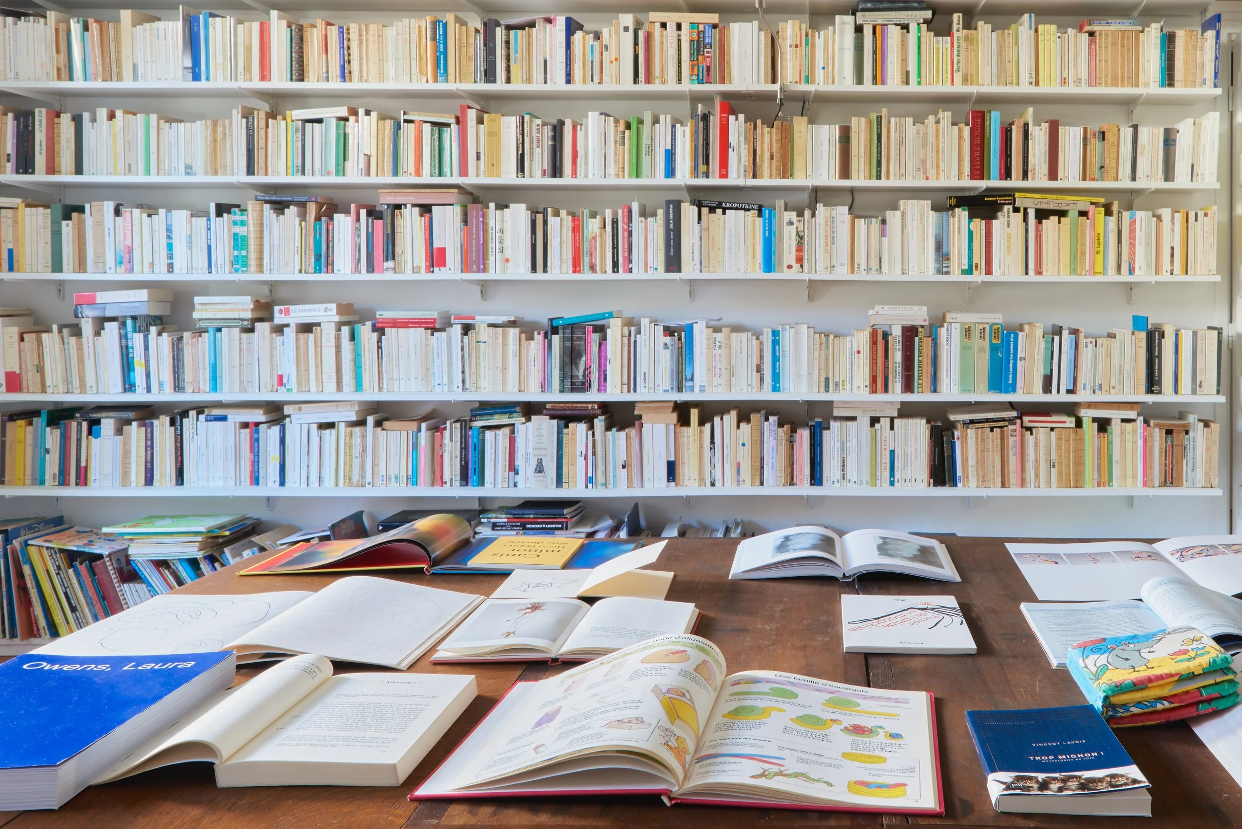 RIGA PROJECT || "Le chat à neuf queues" || Saint-Pierre-de-Trivisy, Tarn