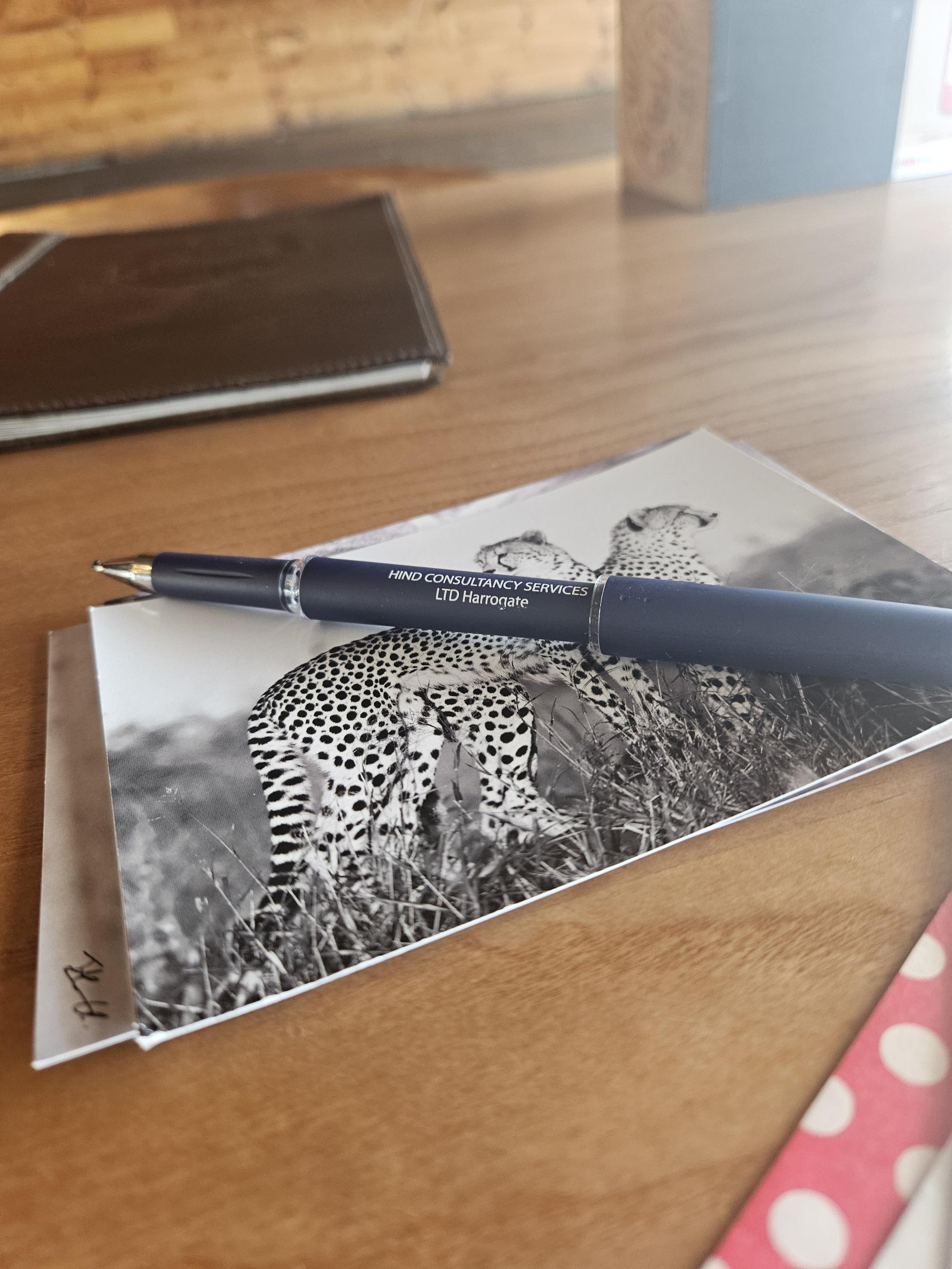 Letters From a Vineyard