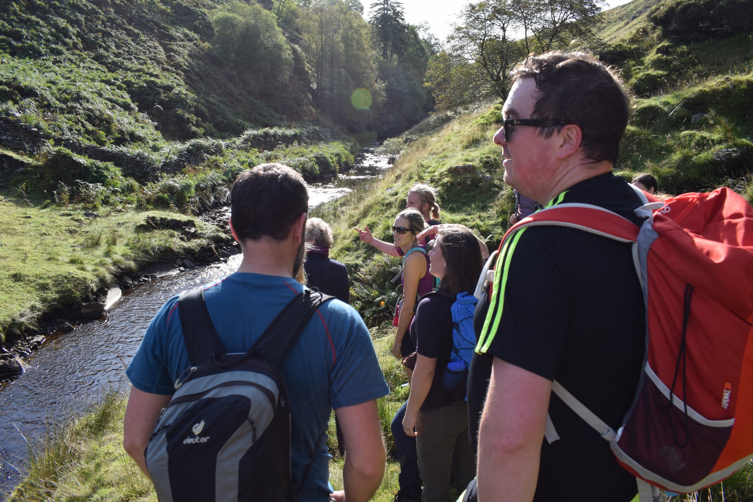 2019-09-14 Westmorland A 12.jpg