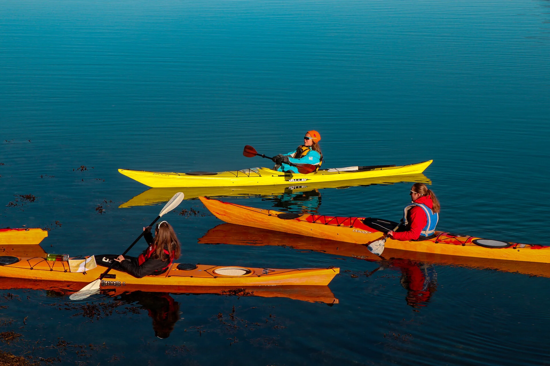 Kjære vener  av Sogndal folkehøgskule