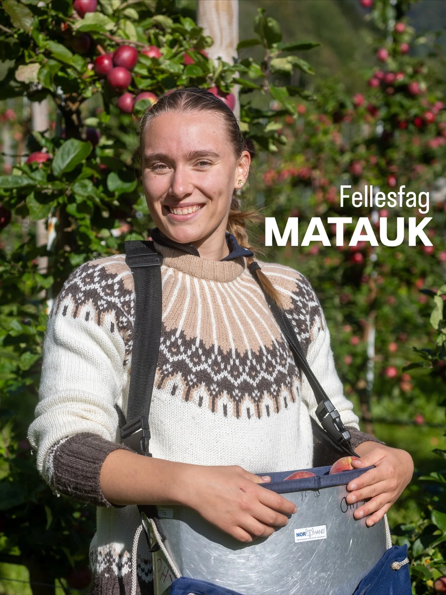 Fellesfag Matauk er i full gang! 

Vi h&oslash;ster, sanker, plukker og foredler. Ferske ingredienser til gode m&aring;ltider.

Takk til lokale b&oslash;nder @sjarle og @nigardenylvis for at vi f&aring;r komme i den flotte eplehagen din - og for verd