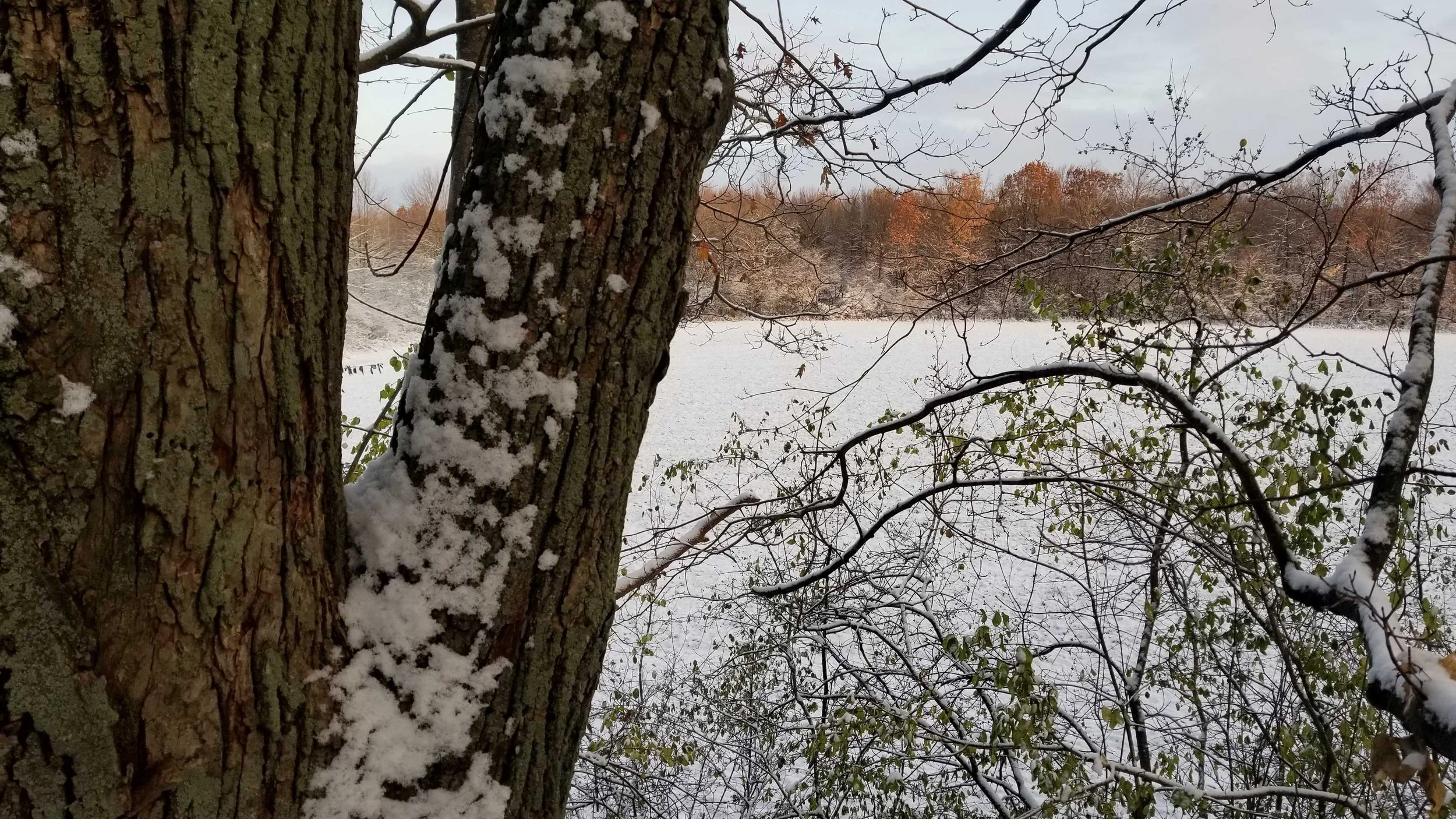 Winterization/ Dewinterization