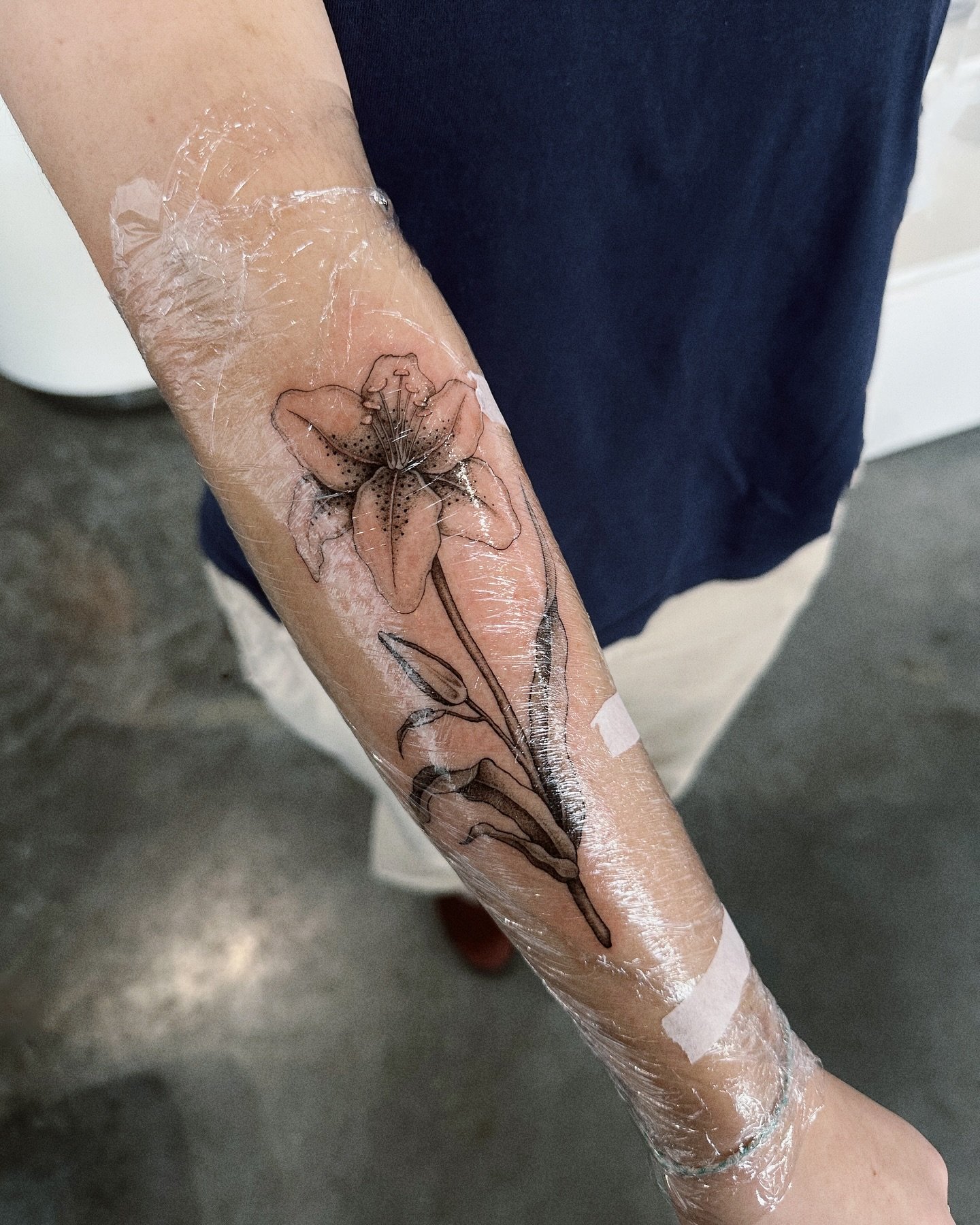 ♰ bits and bobs ♰

✷ First tattoo in my new space
✷ Valentines day flash 
✷ New station at Stories &amp; Ink
✷ My favourite initials 
✷ Print prep for Brighton convention