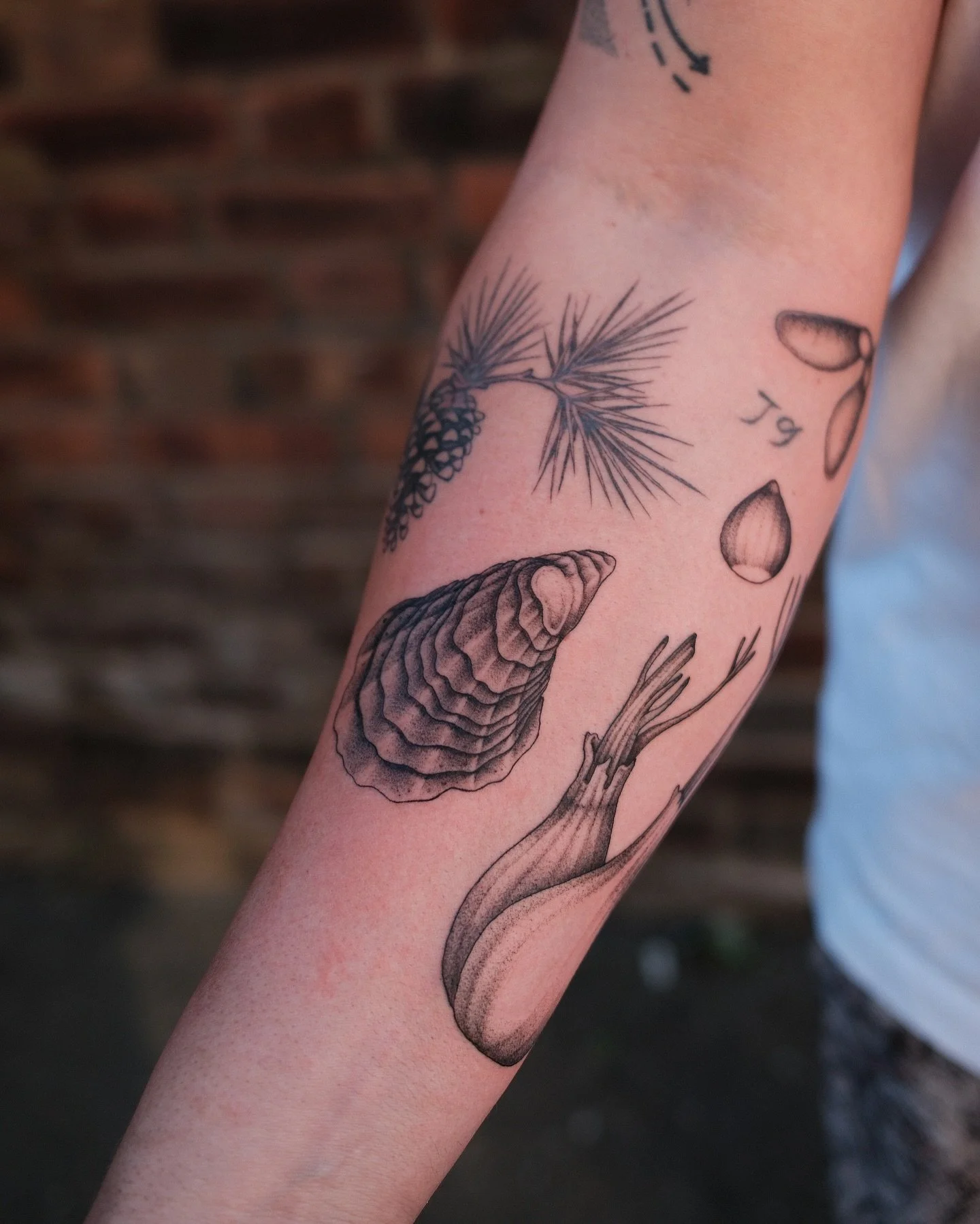 Added some natural history flash to @lagomchef&rsquo;s patchwork sleeve, ft a healing pine cone and fir branch 🦪