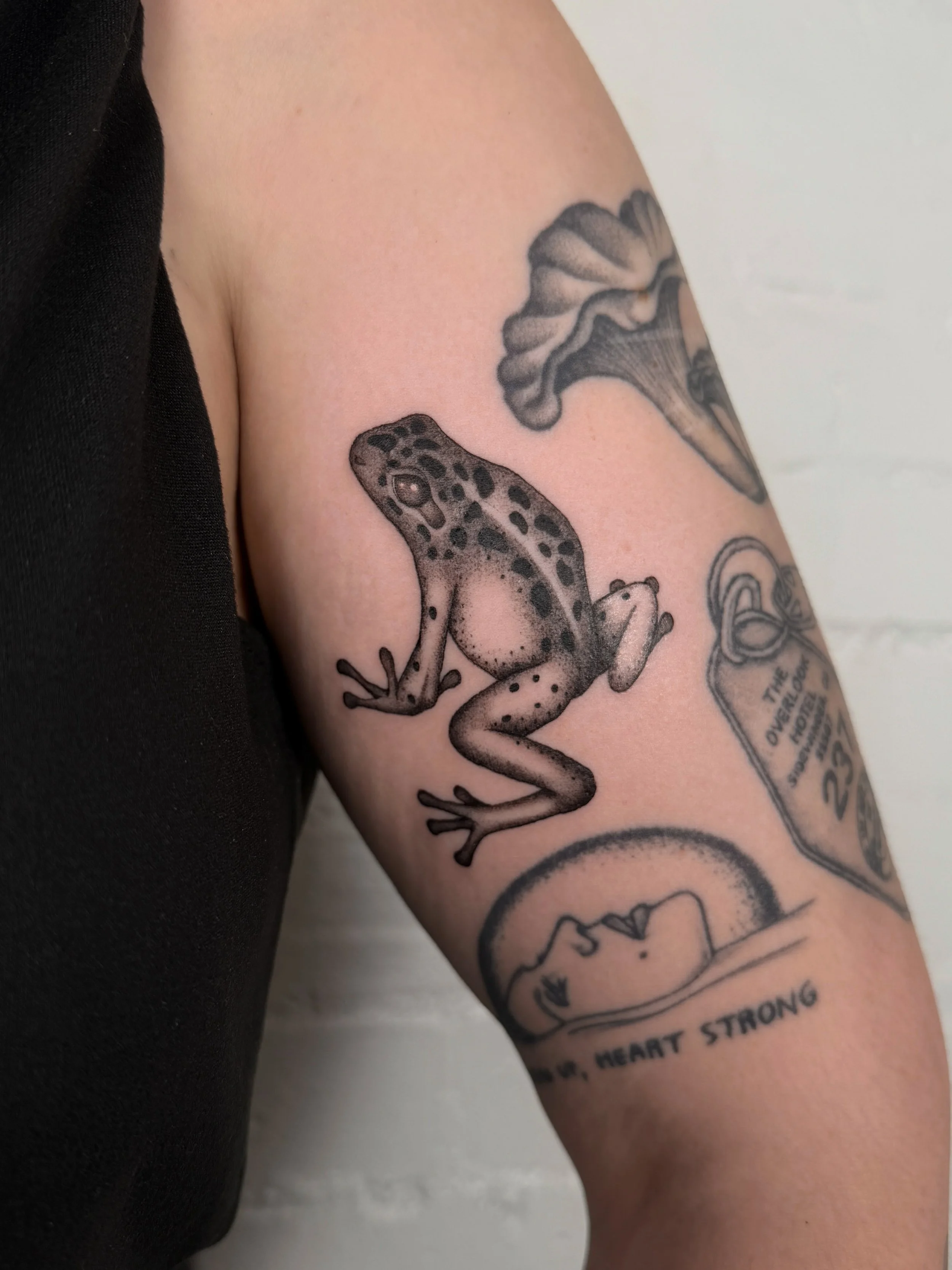 Poison dart frog for Graceson 🖤 Done at @parliamenttattoo