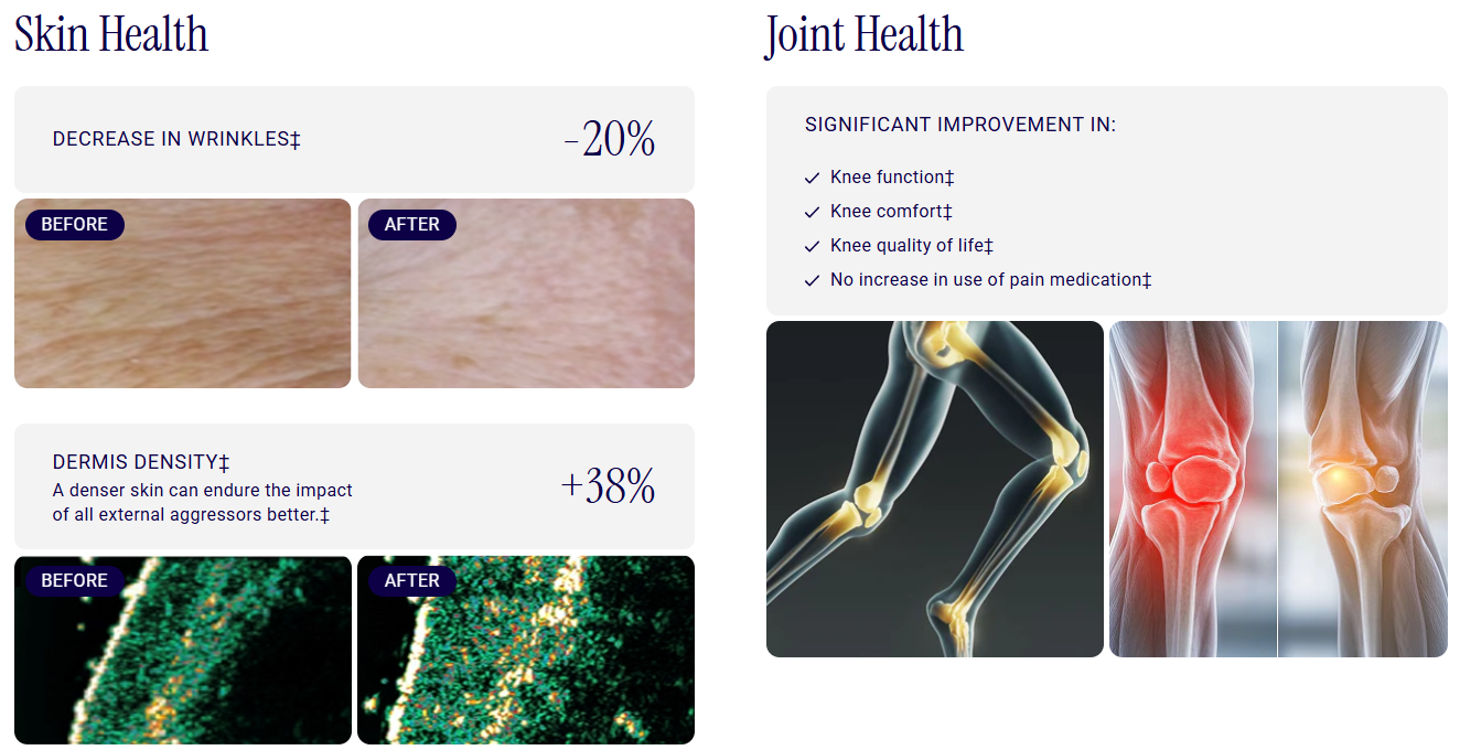 Screenshot 2026-04-08 134234.png