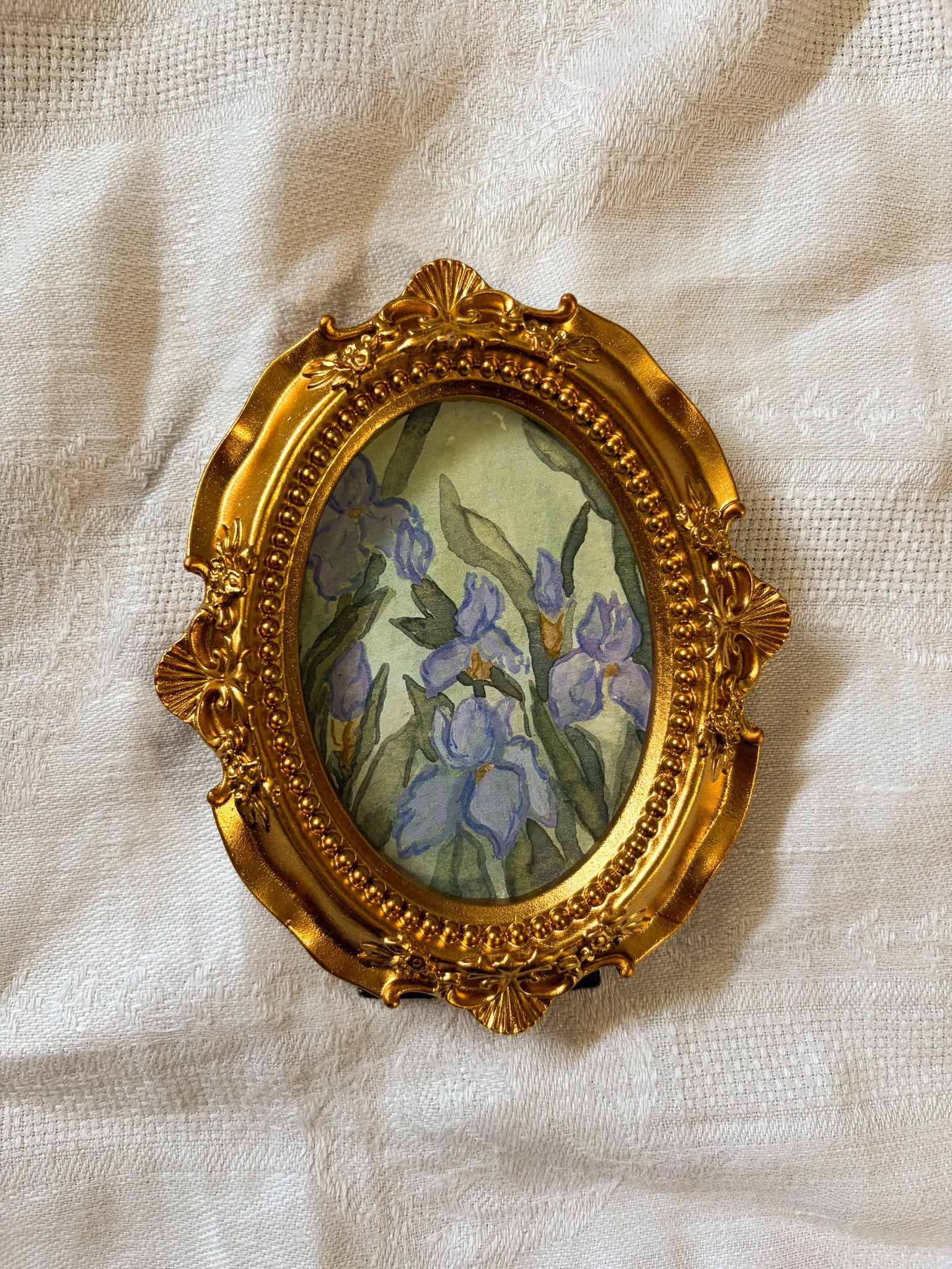 Irises in Bloom