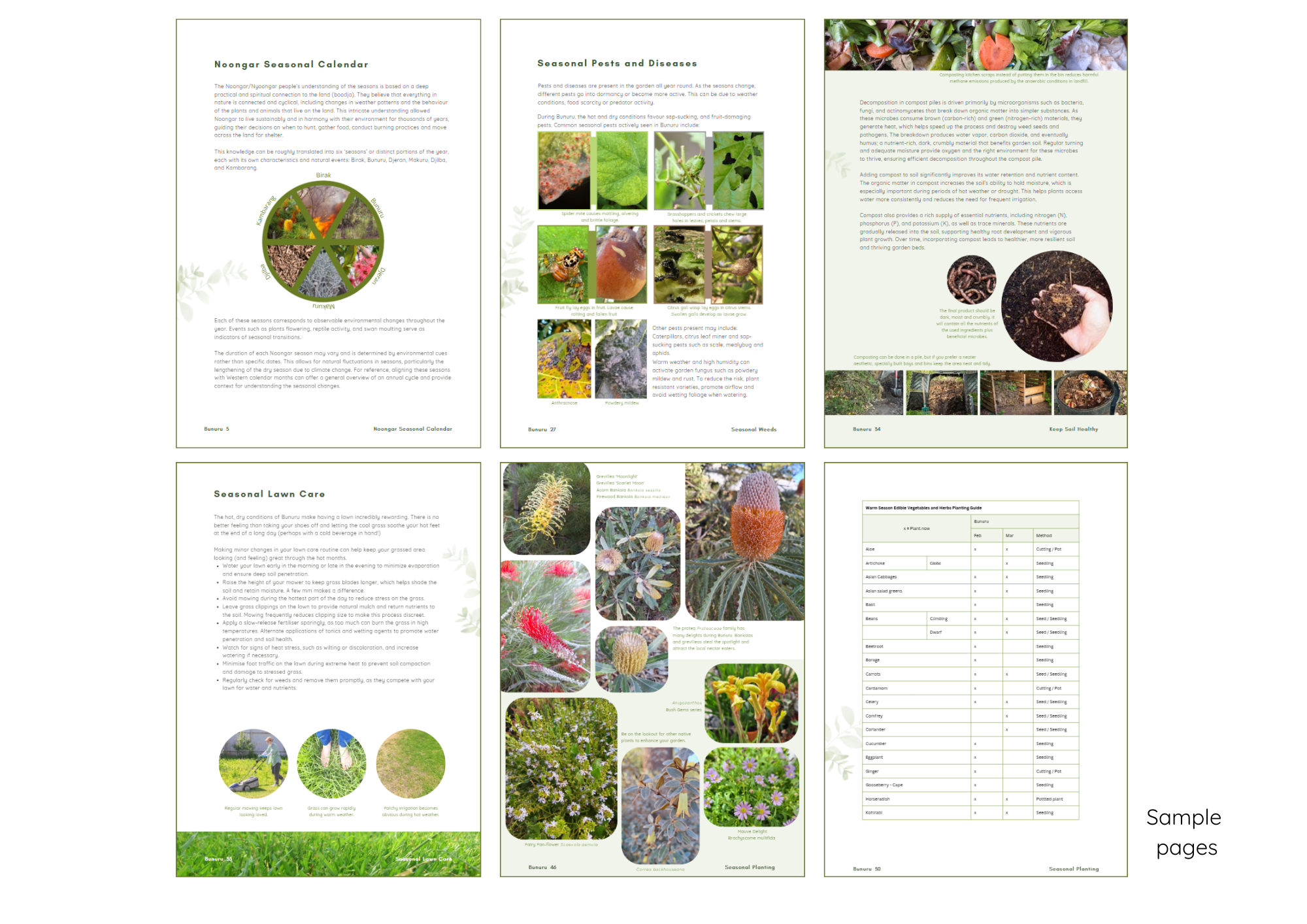 Gardening in Bunuru Sample pages Thumbnail.png