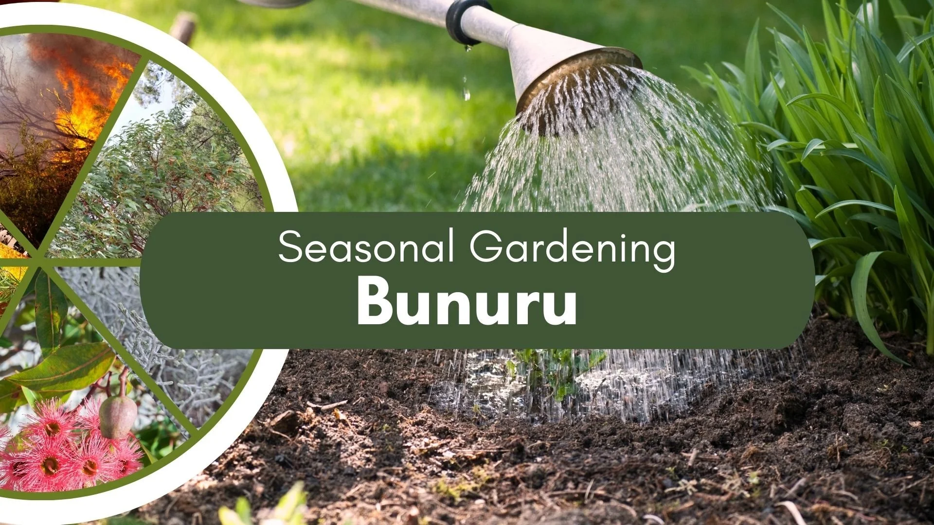 Seasonal Gardening Bunuru - Summer