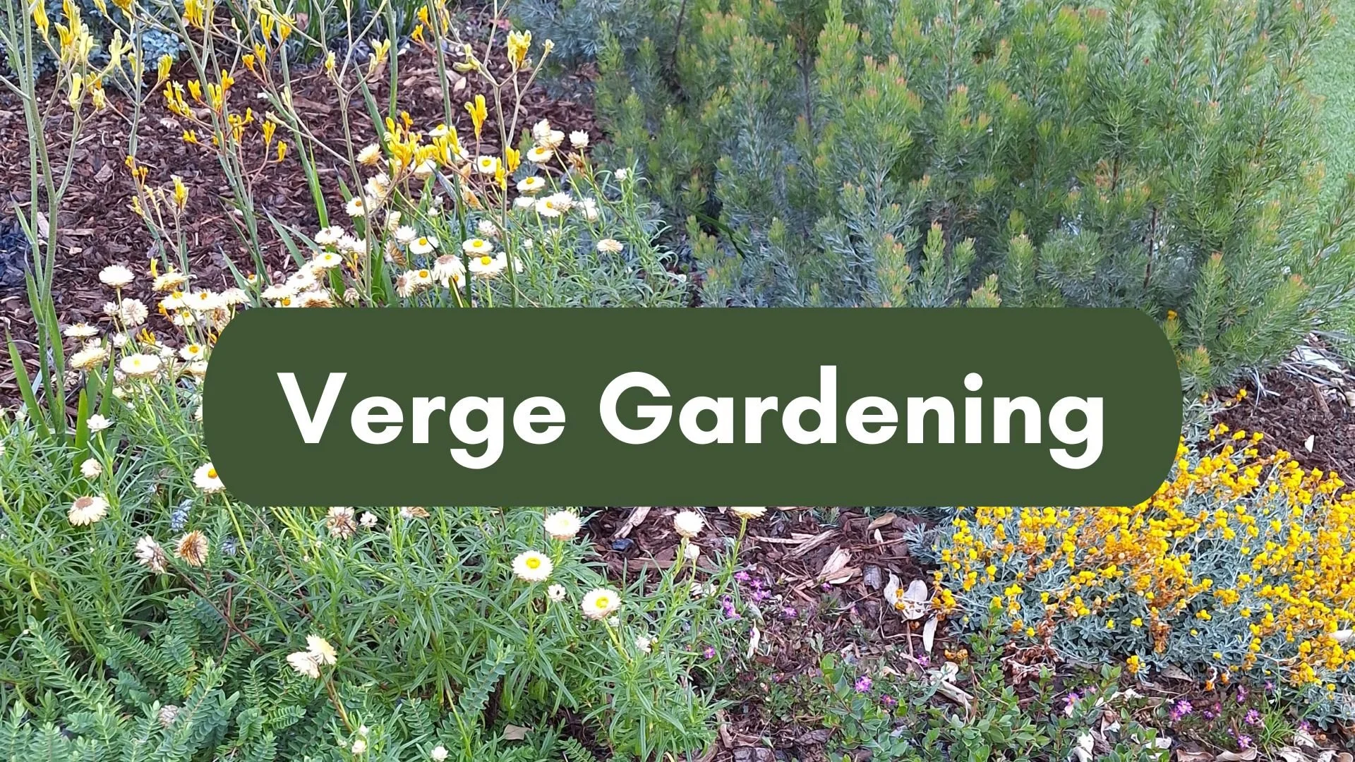 Verge Gardening