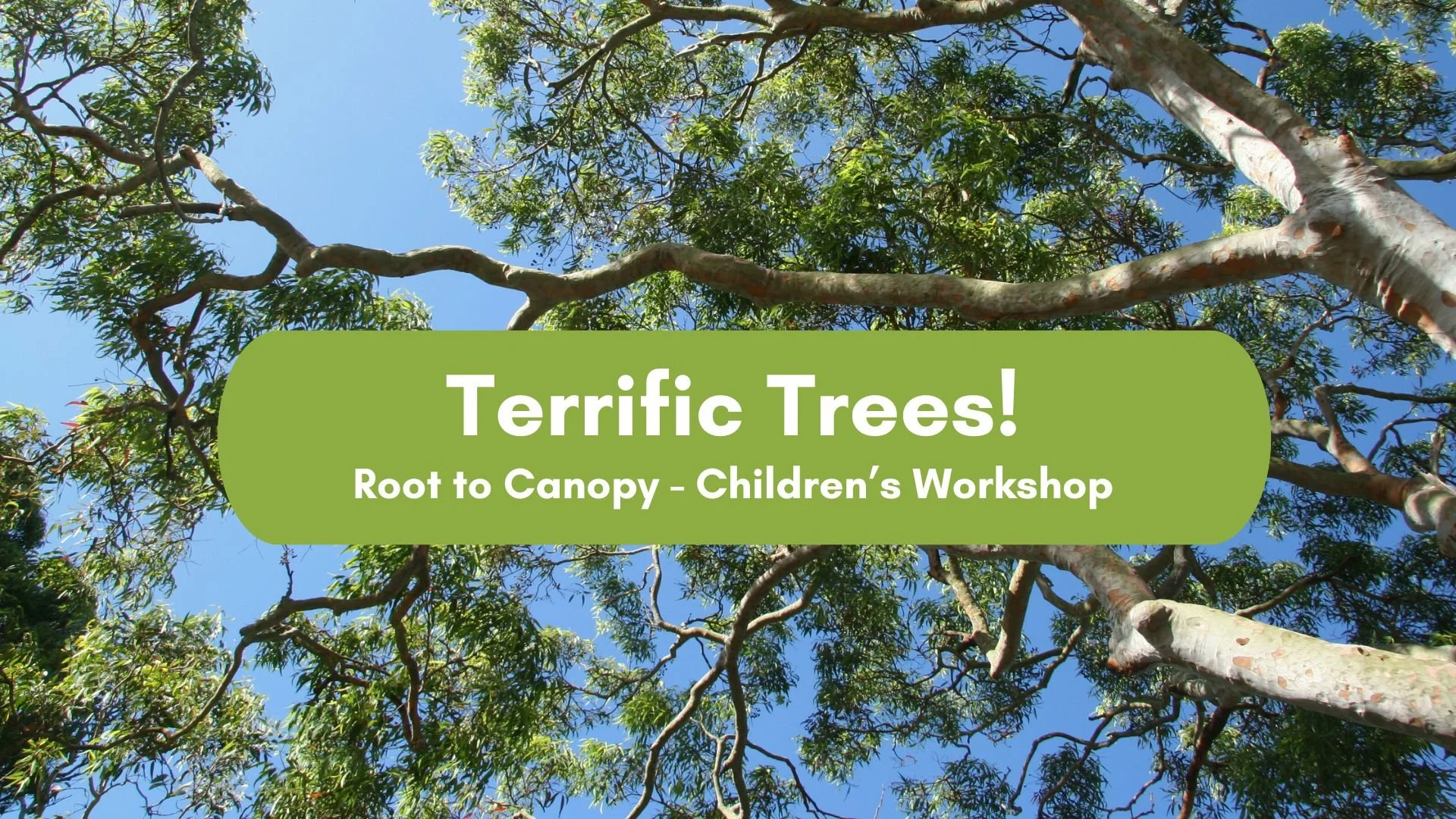 Children’s Workshop:  Terrific Trees!