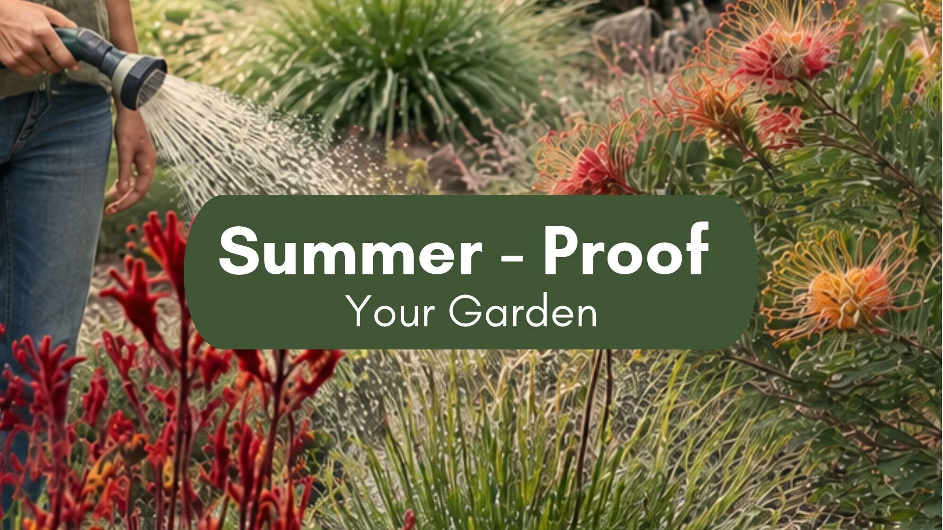 Summer-Proof your Garden