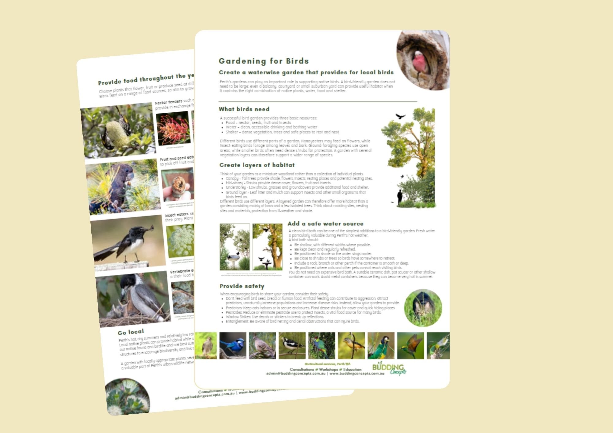 Gardening for birds factsheet thumbnail.jpg
