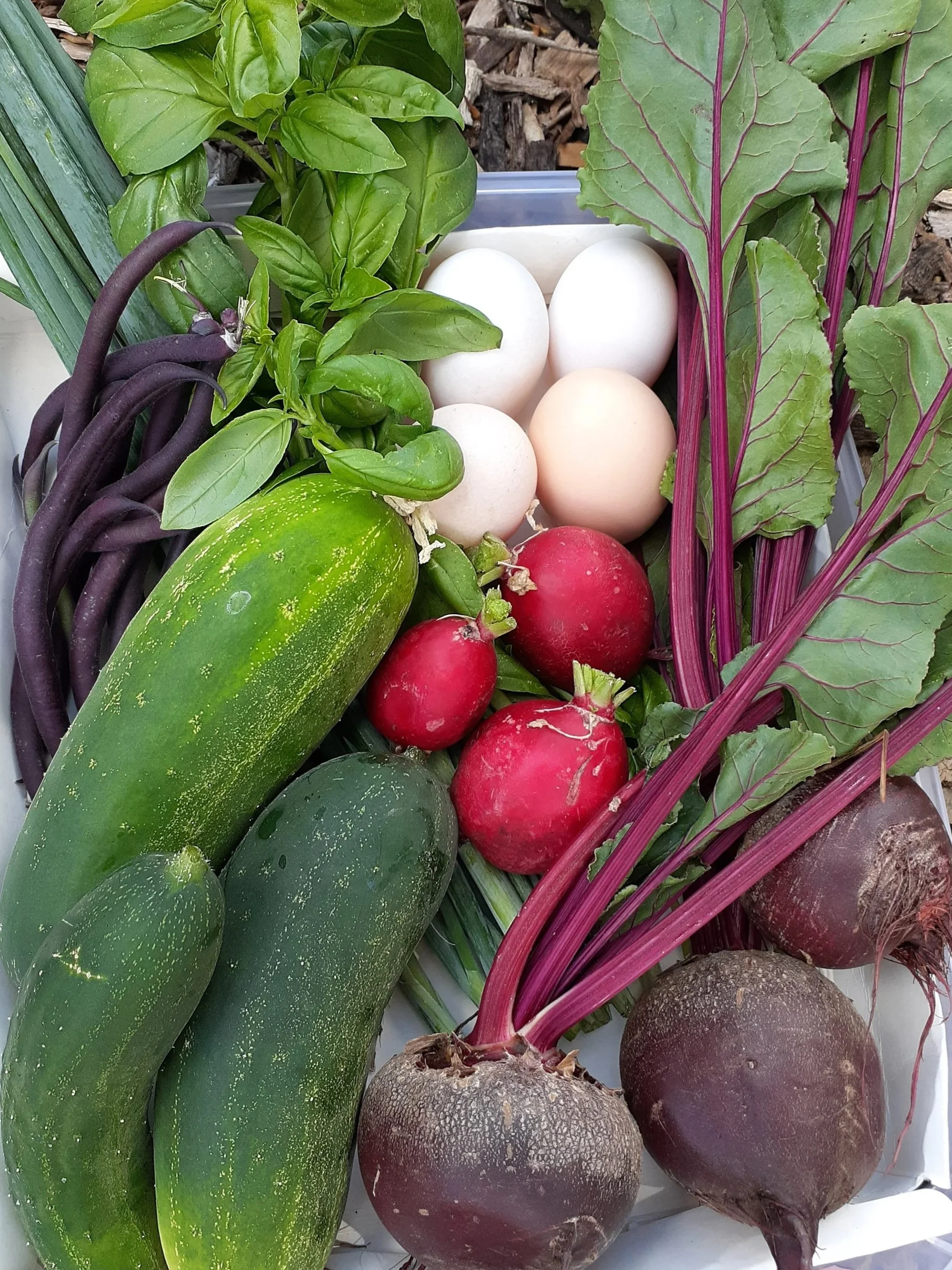 Grow your own, vegetable garden Perth